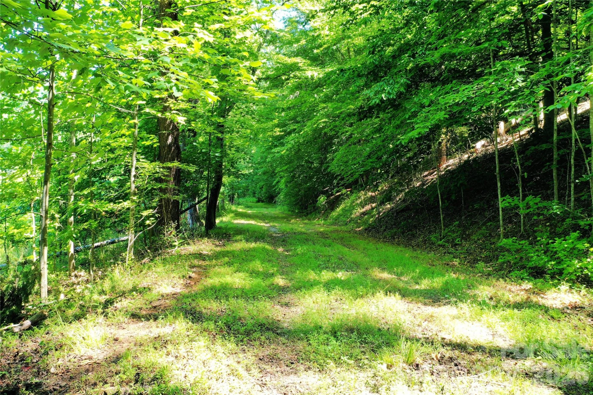 TBD River Road - Photo 3