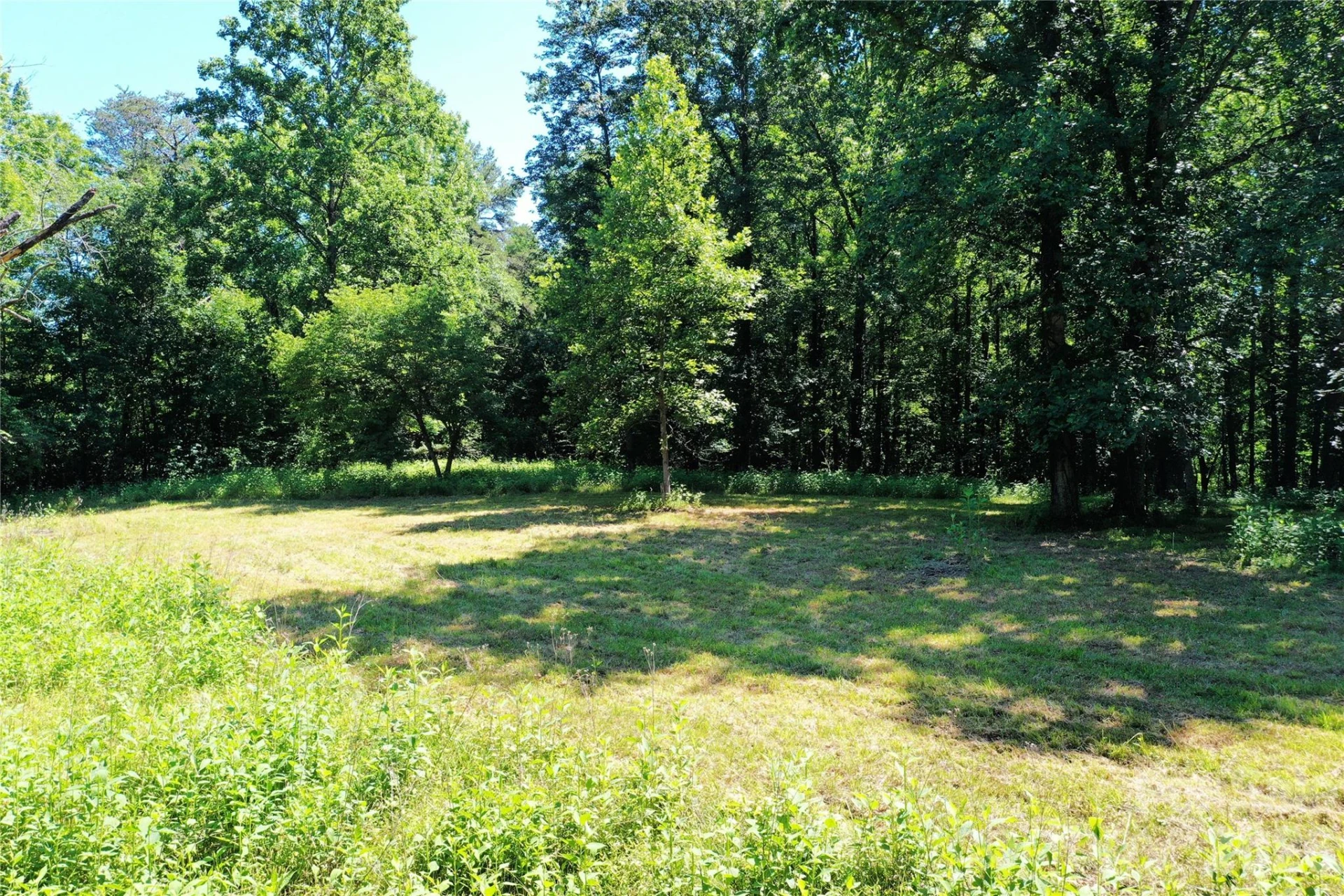 TBD River Road - Photo 12