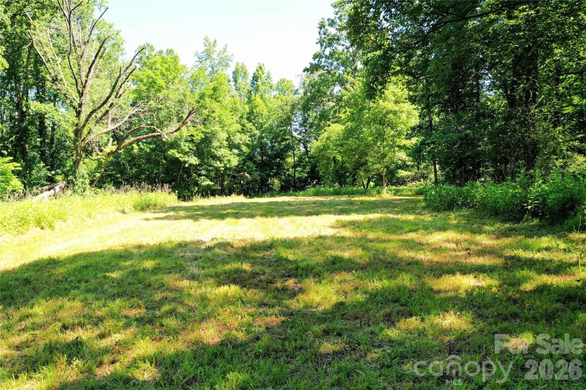 TBD River Road - Photo 13