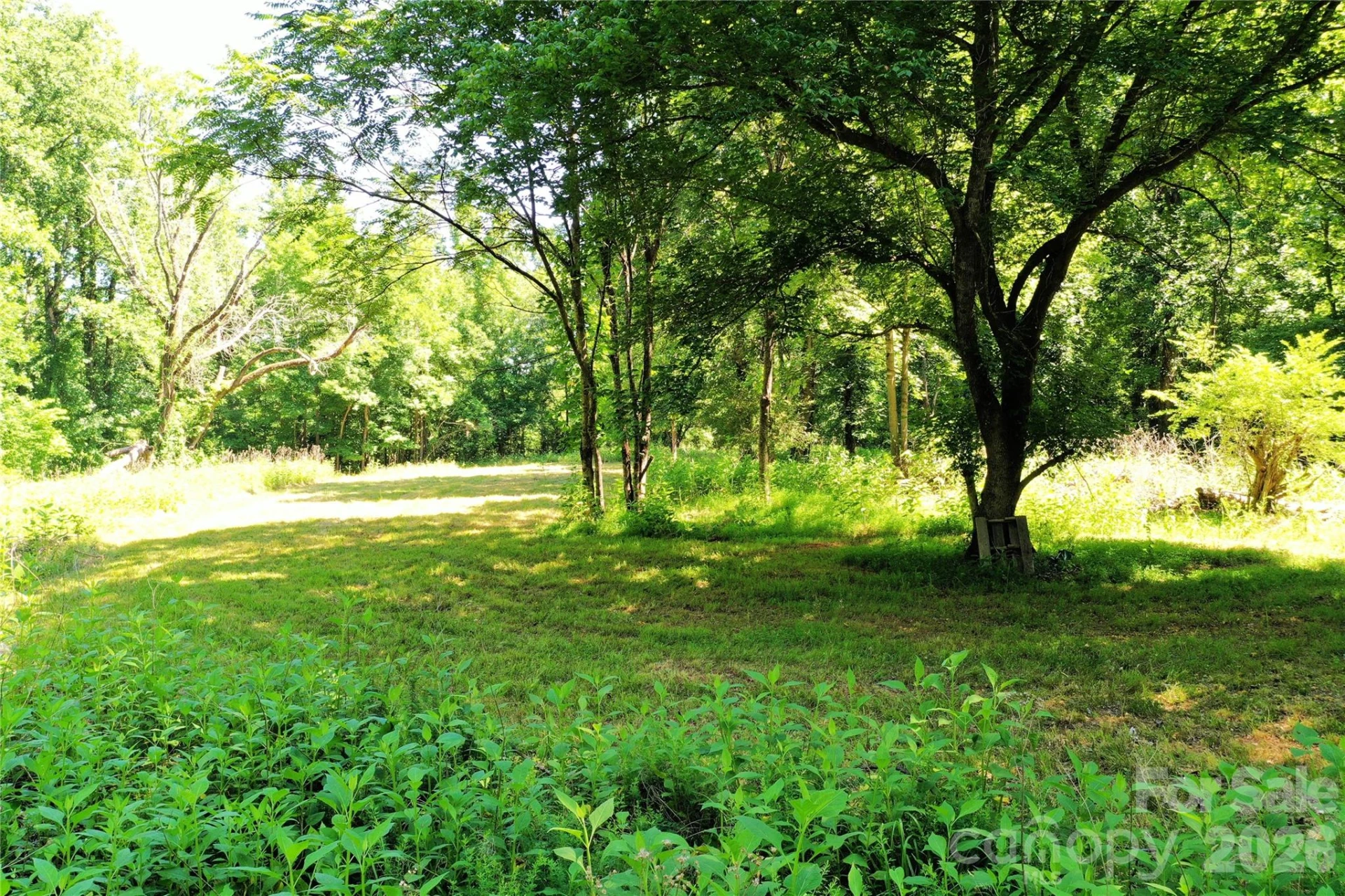 TBD River Road - Photo 14