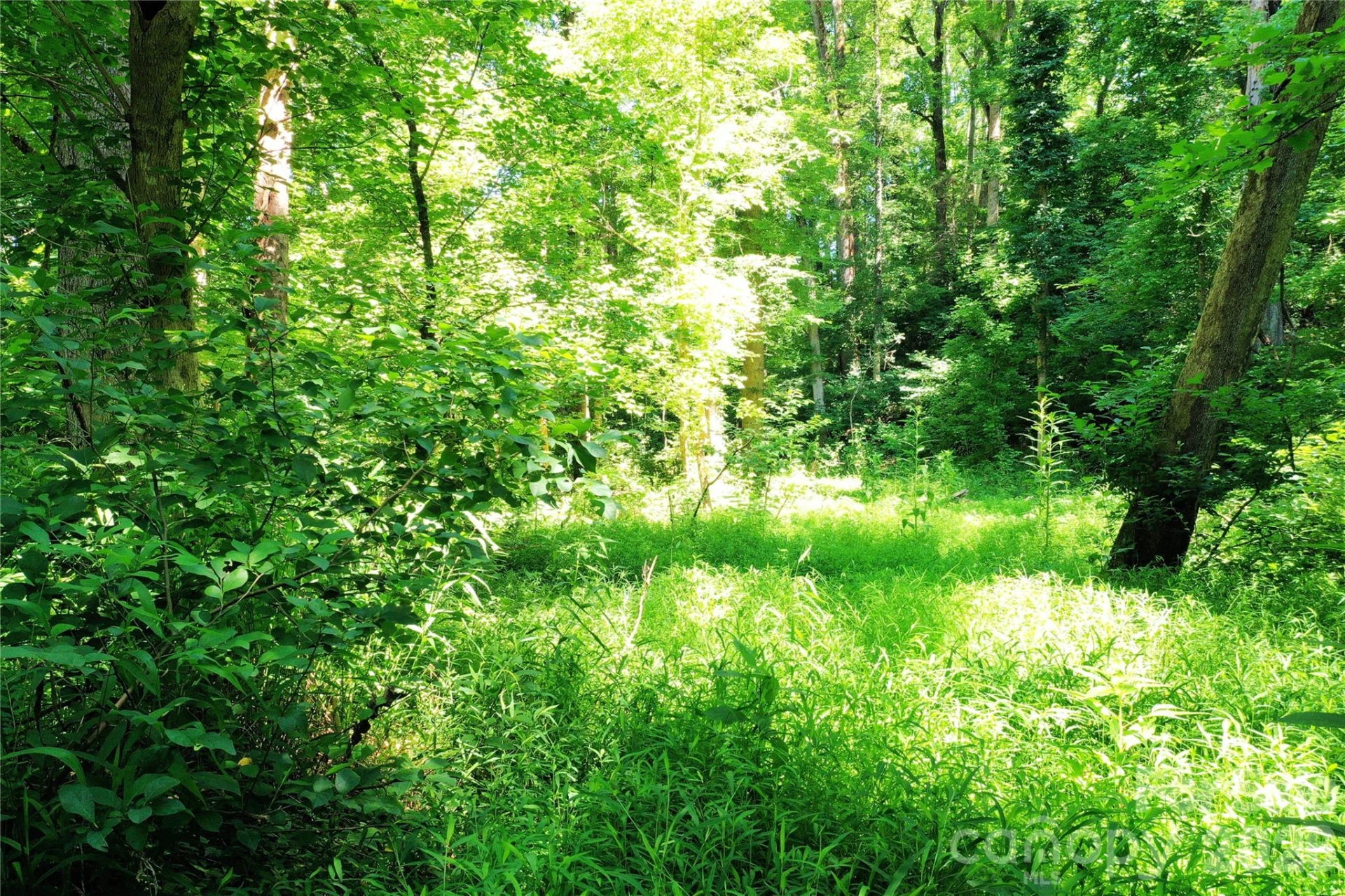 TBD River Road - Photo 15