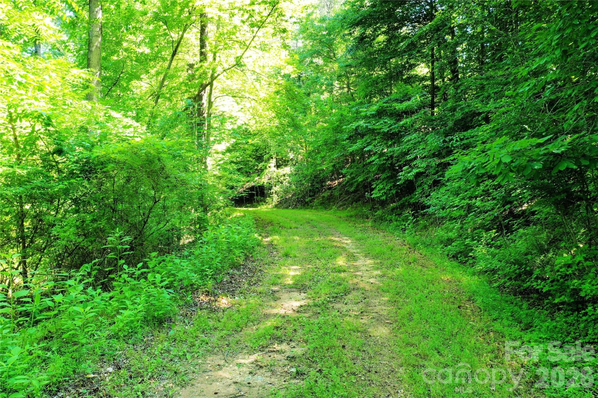 TBD River Road - Photo 4