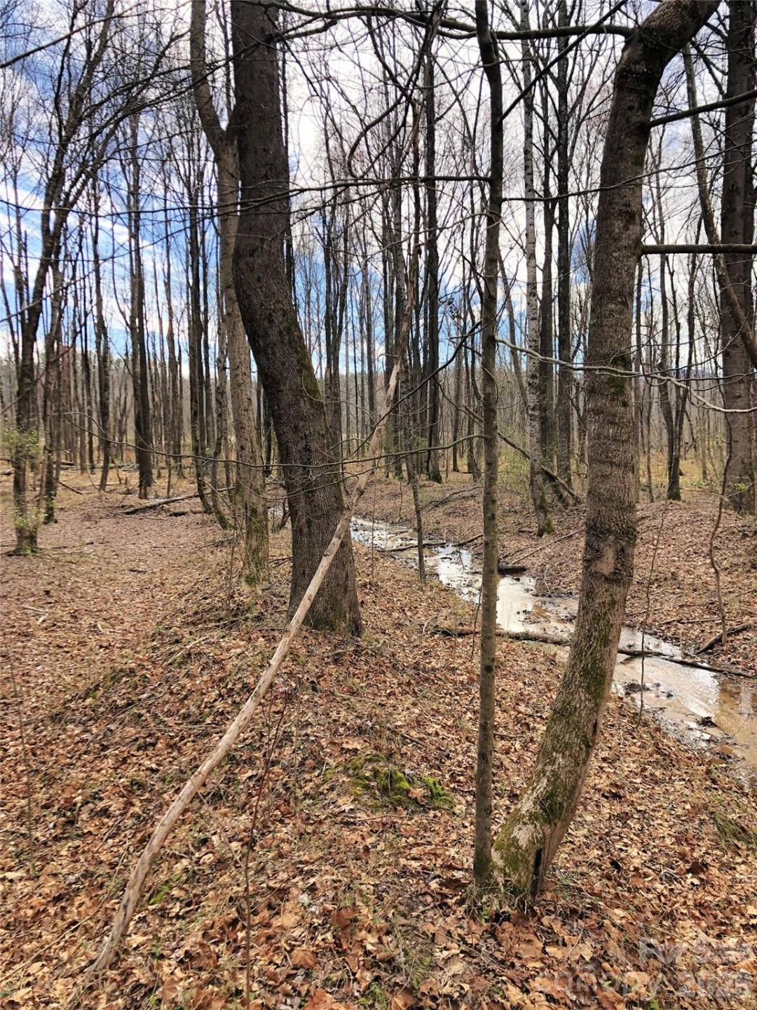 TBD River Road - Photo 26