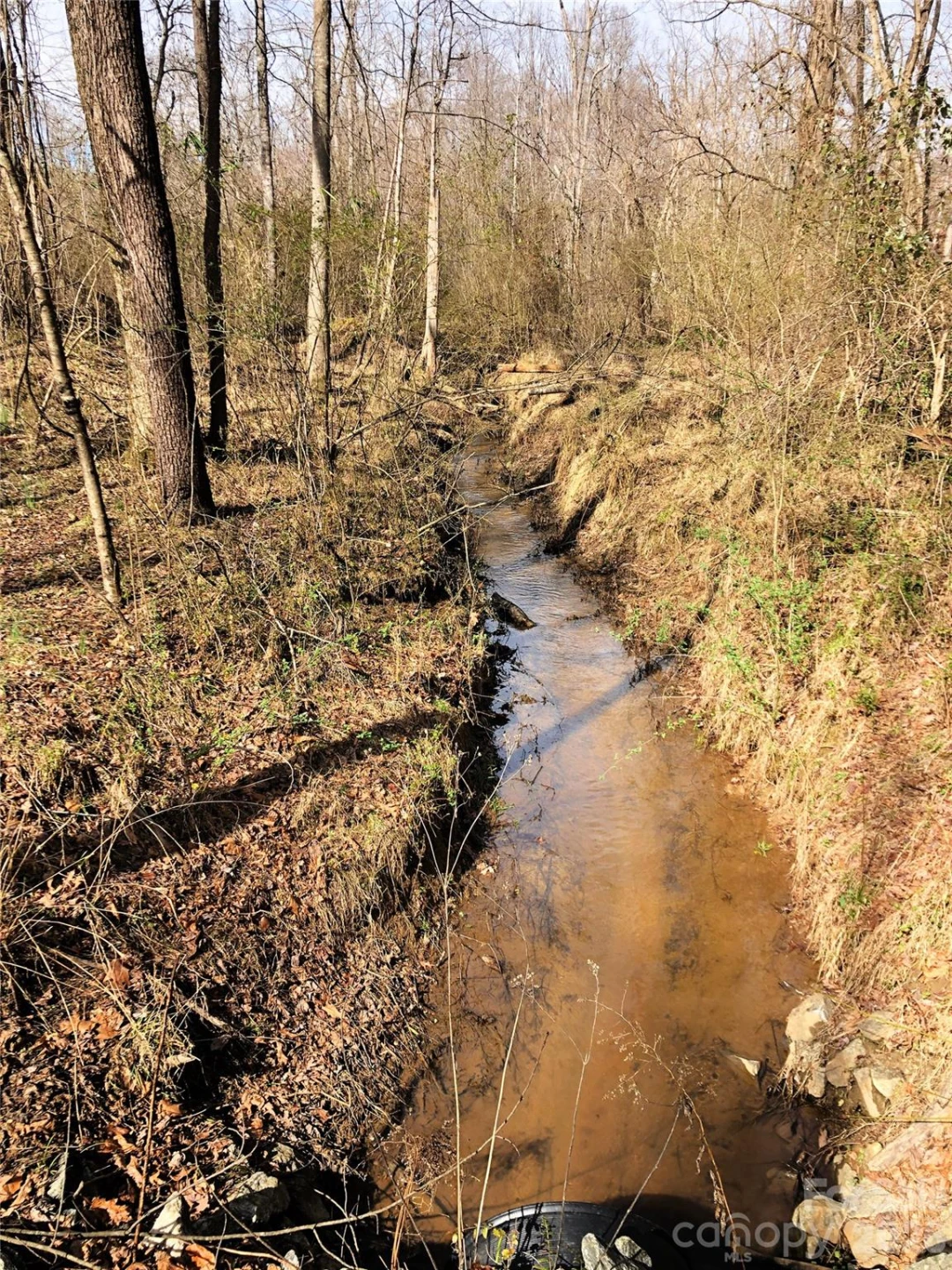 TBD River Road - Photo 27