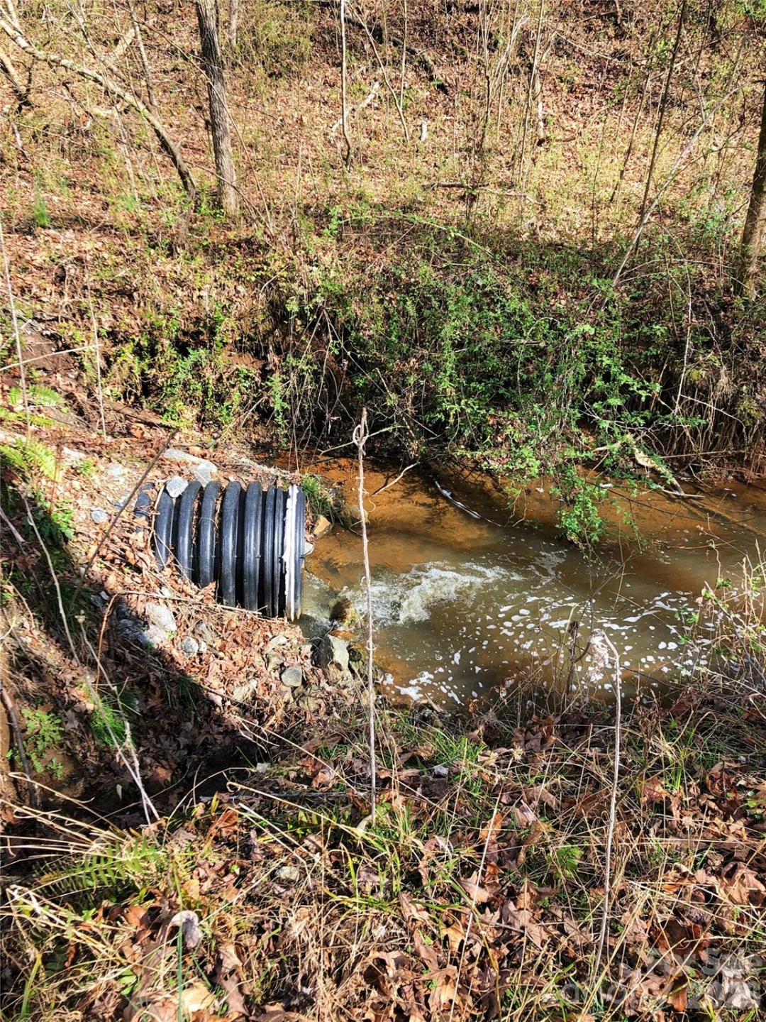 TBD River Road - Photo 28