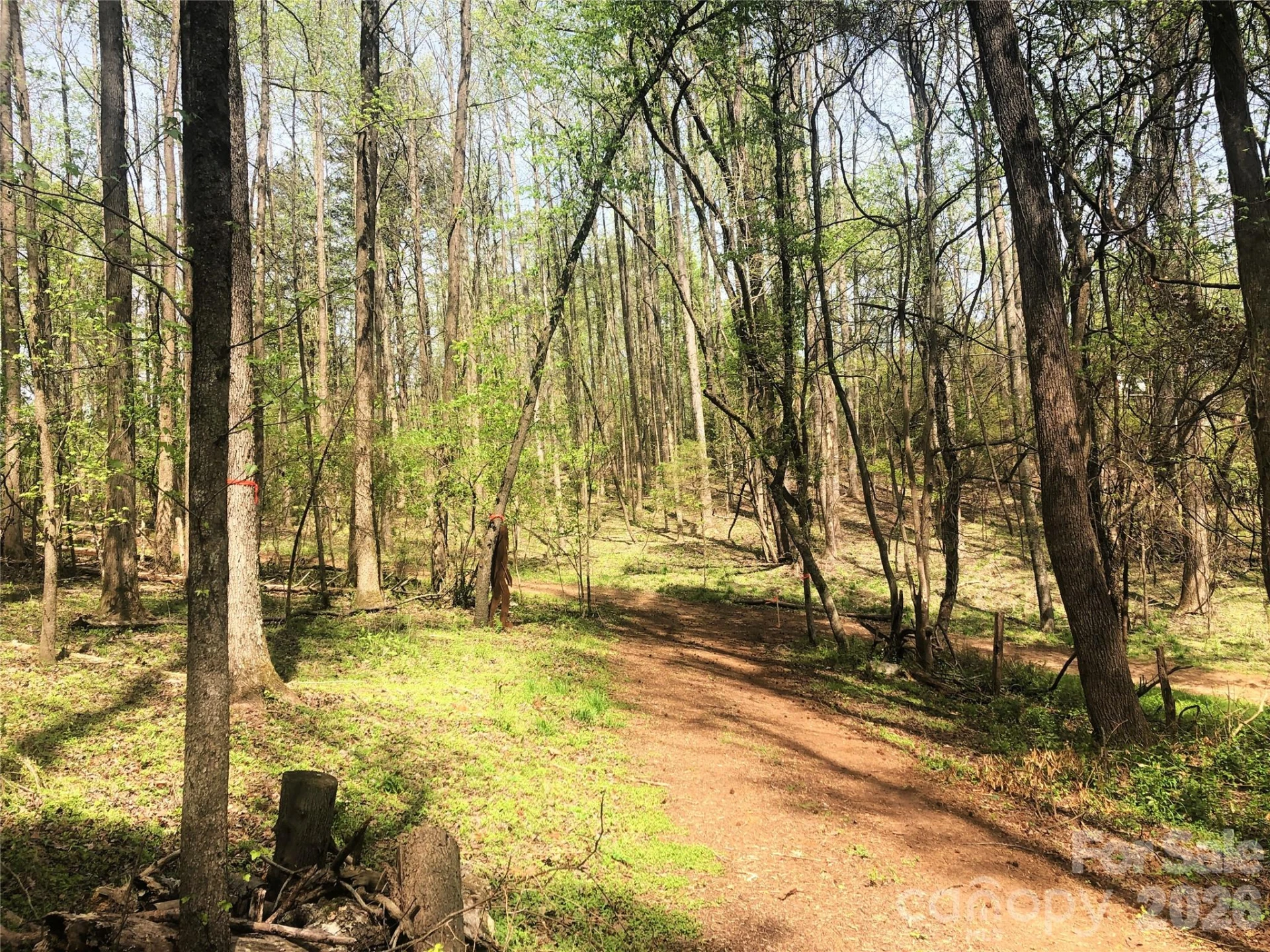 TBD River Road - Photo 29