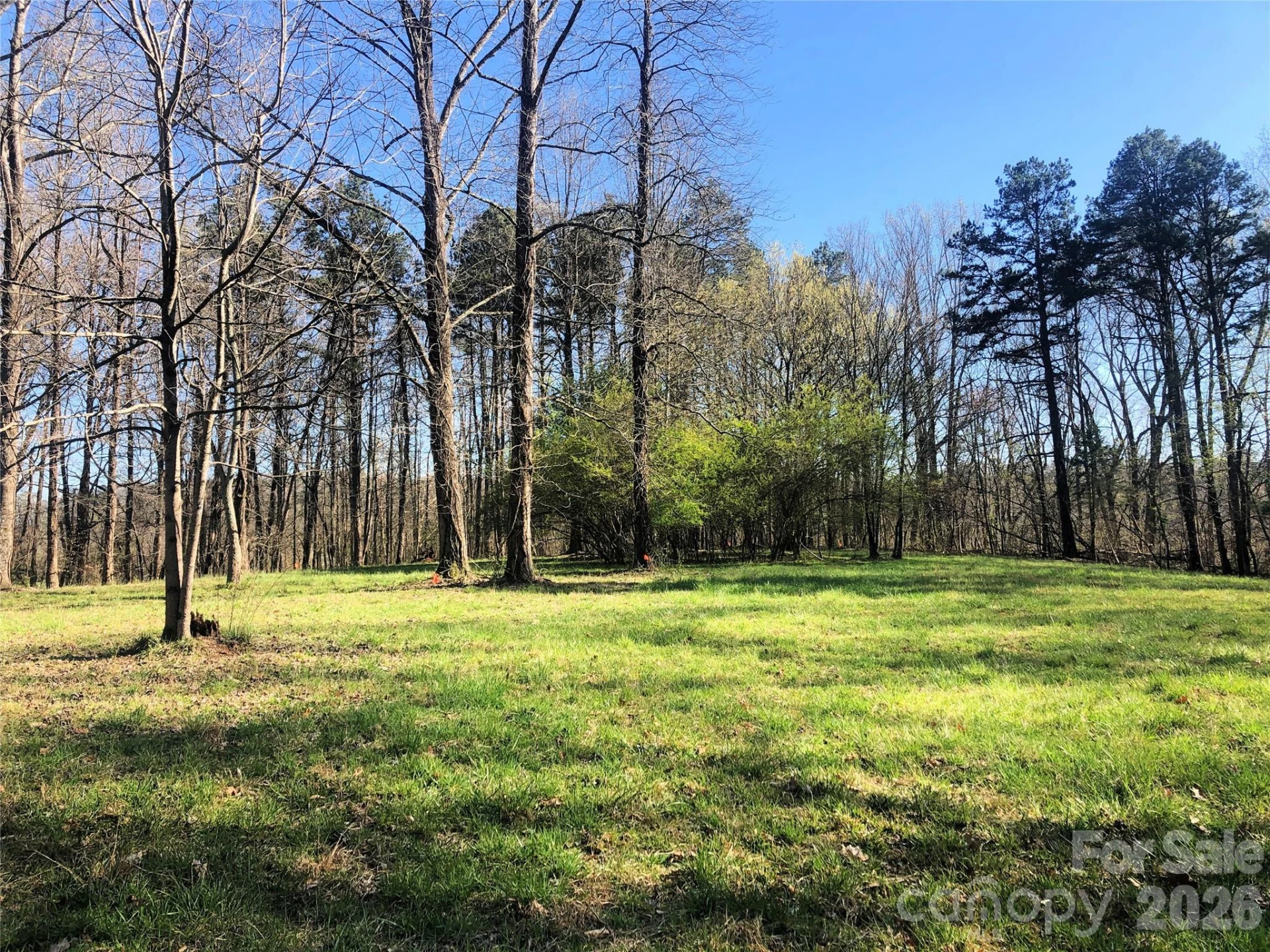 TBD River Road - Photo 31