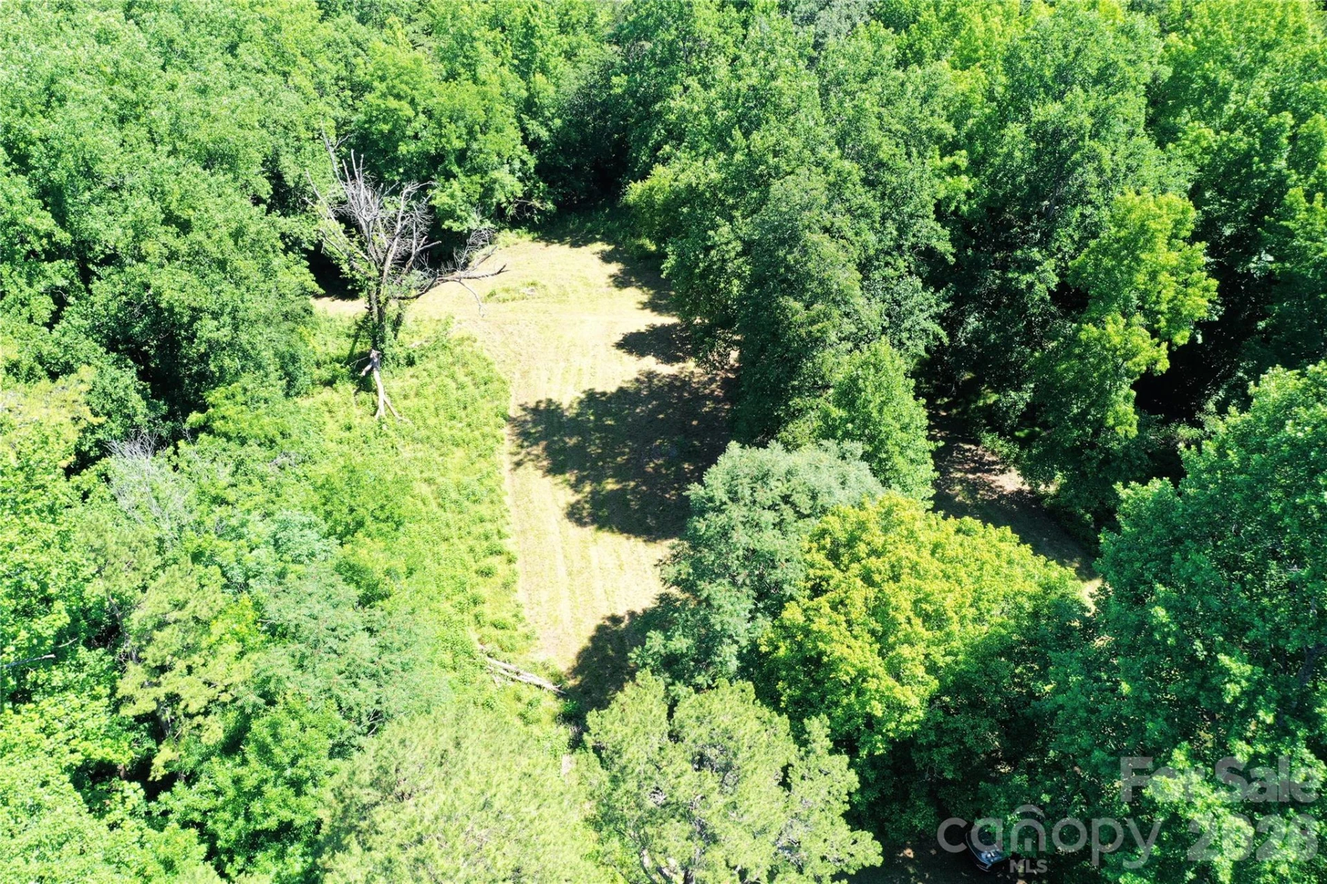 TBD River Road - Photo 5