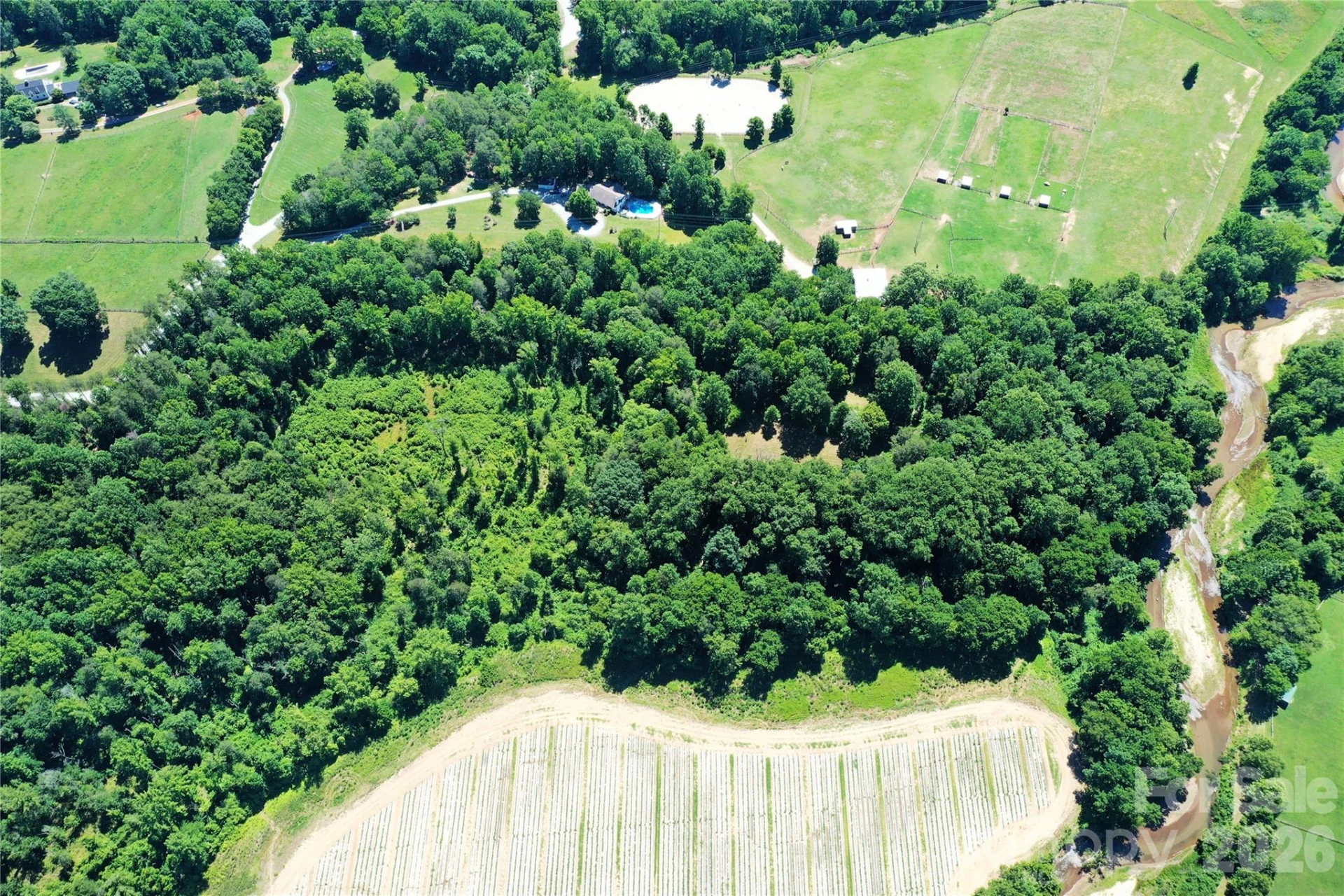 TBD River Road - Photo 6