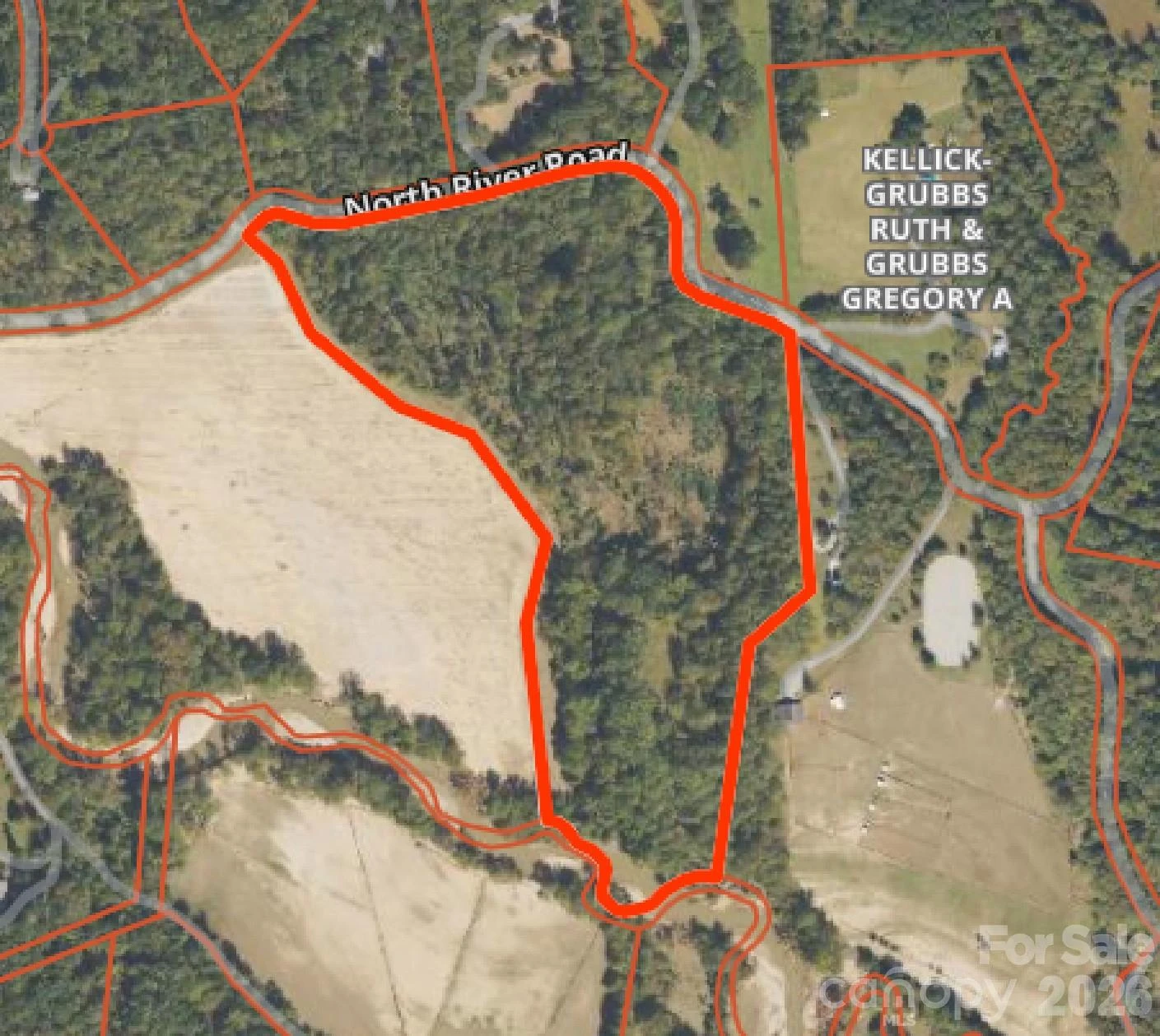 TBD River Road - Photo 2