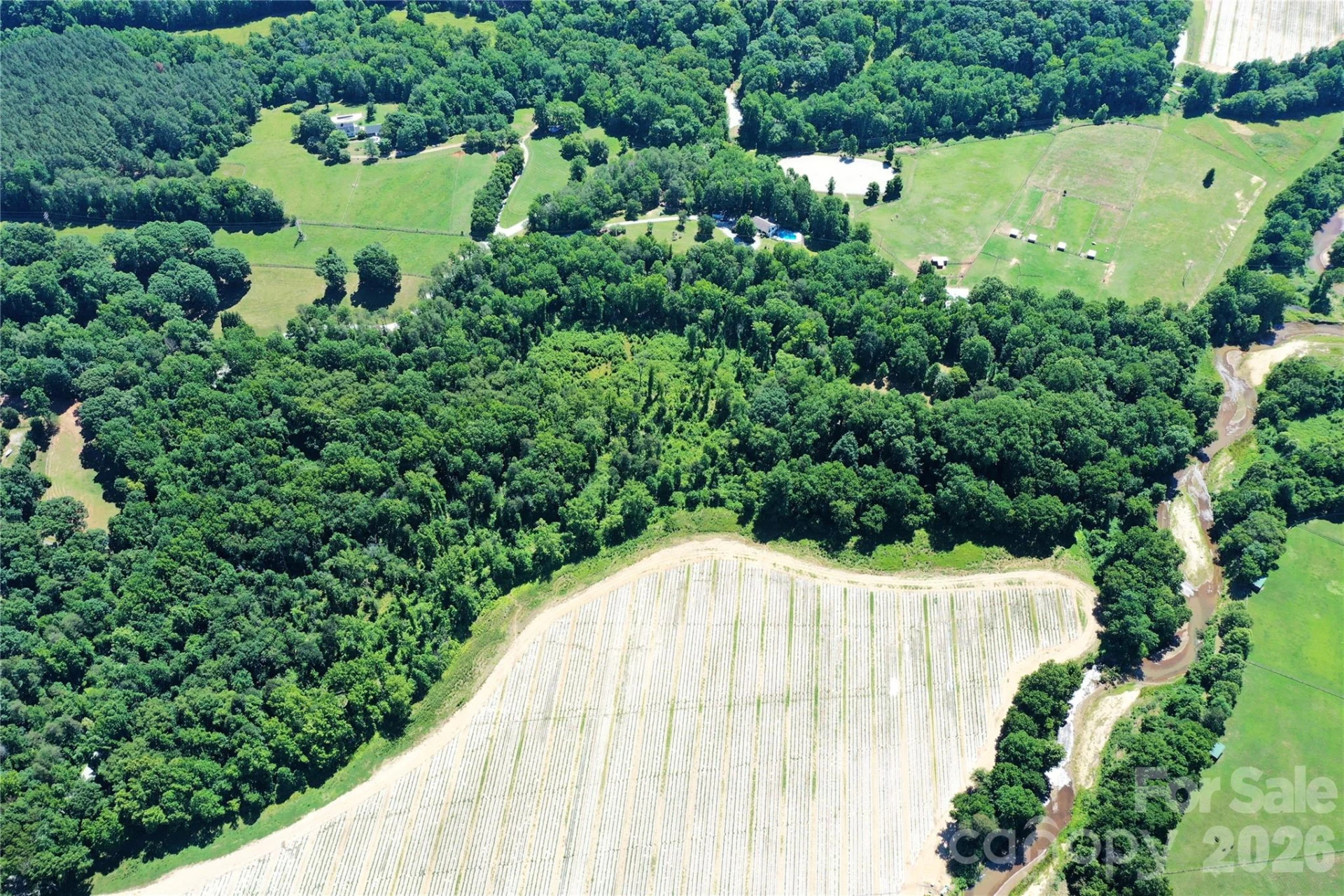TBD River Road - Photo 7
