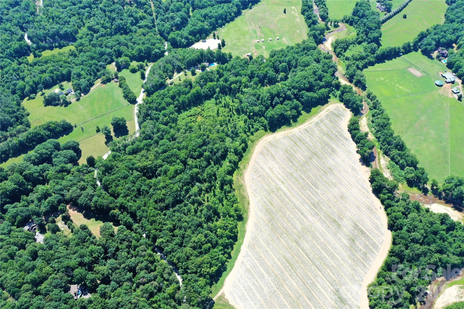 TBD River Road - Photo 8