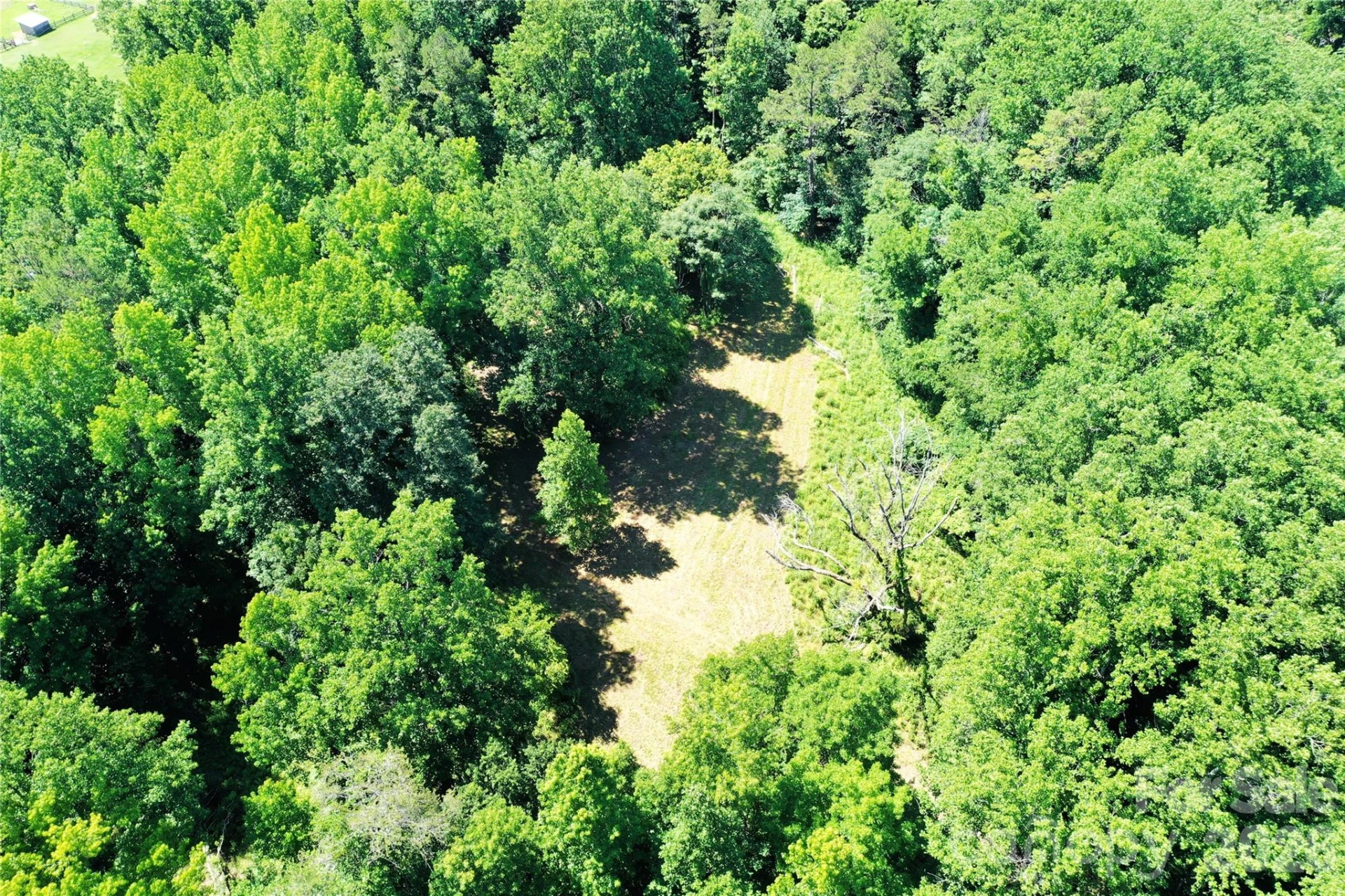 TBD River Road - Photo 10