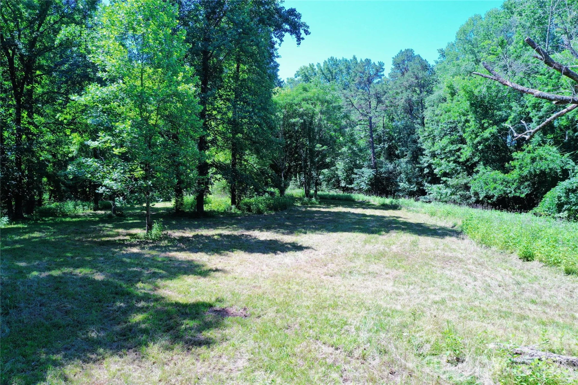 TBD River Road - Photo 11