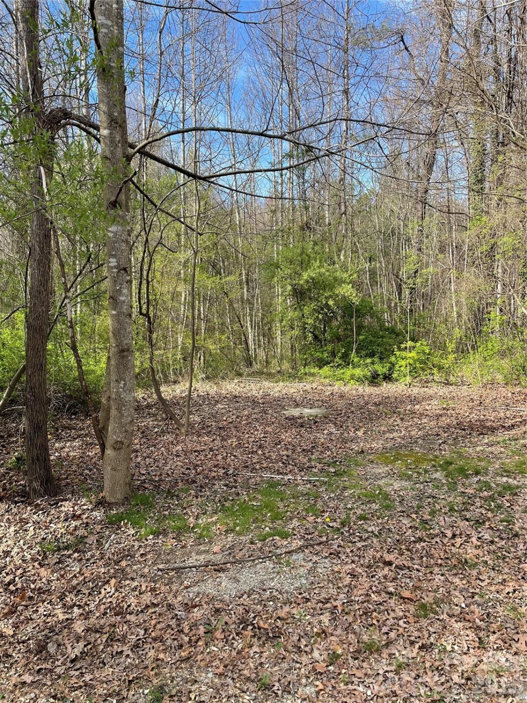 221 Old Sunset Hill Road - Photo 6