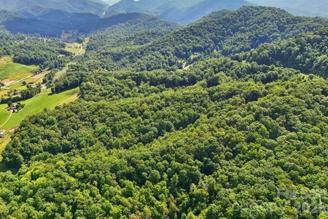 77 Traditions Way, Mars Hill, NC, 28754