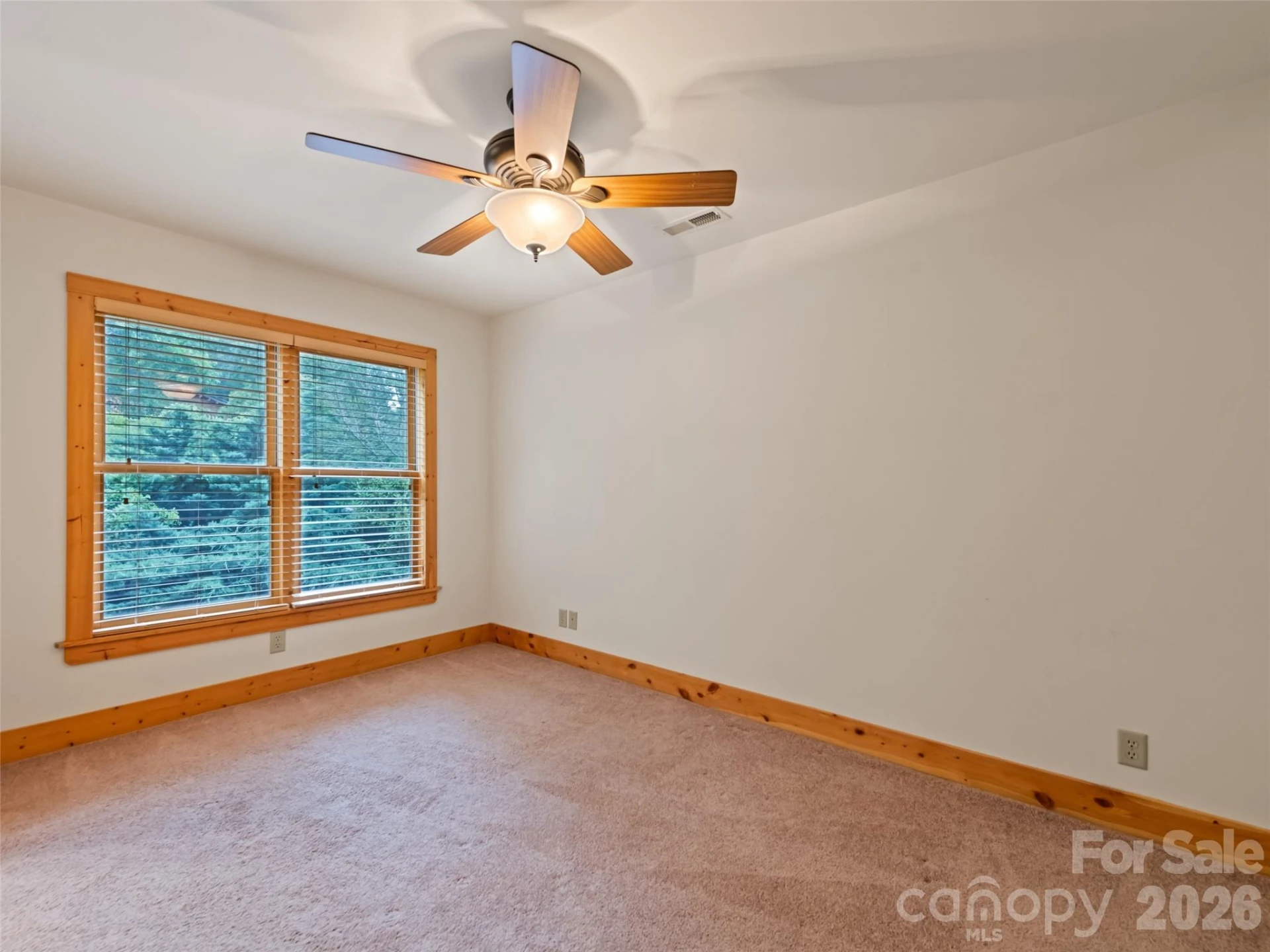 20 Sarah Court - Photo 34