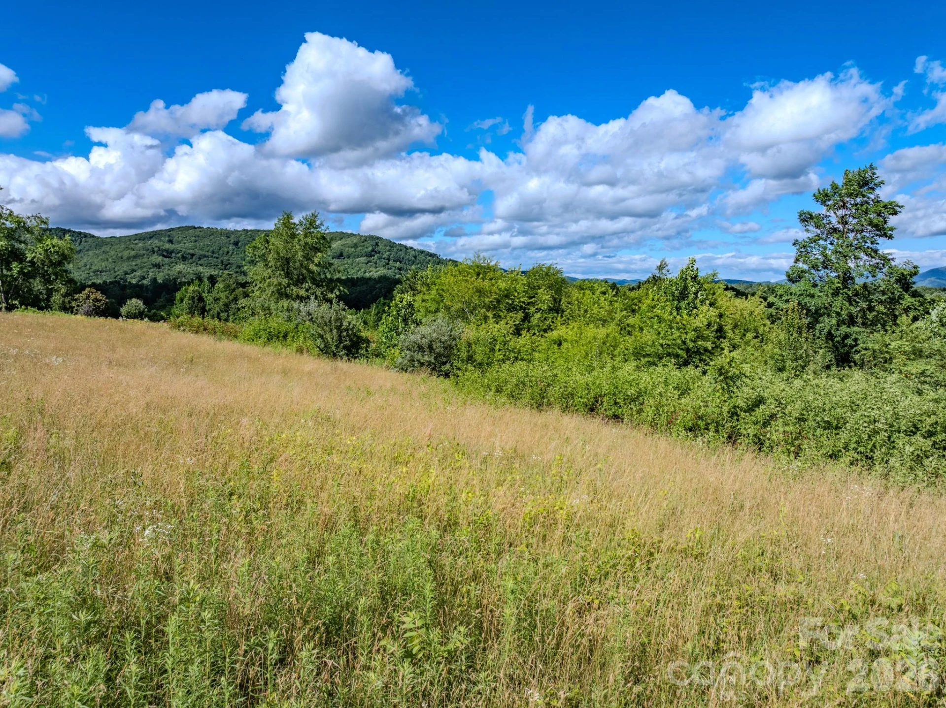 000 Rocky Hill Drive #5 & 7 - Photo 2