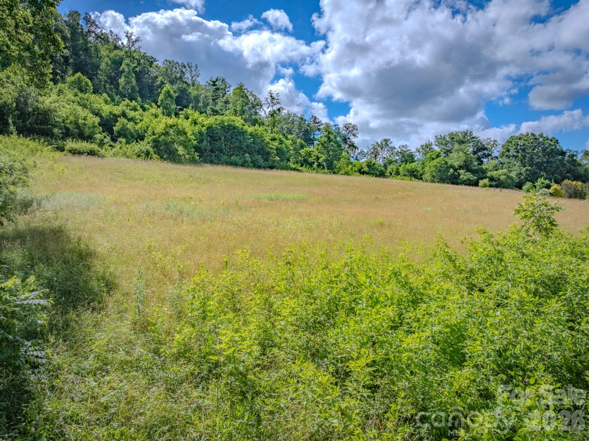 000 Rocky Hill Drive #5 & 7 - Photo 17