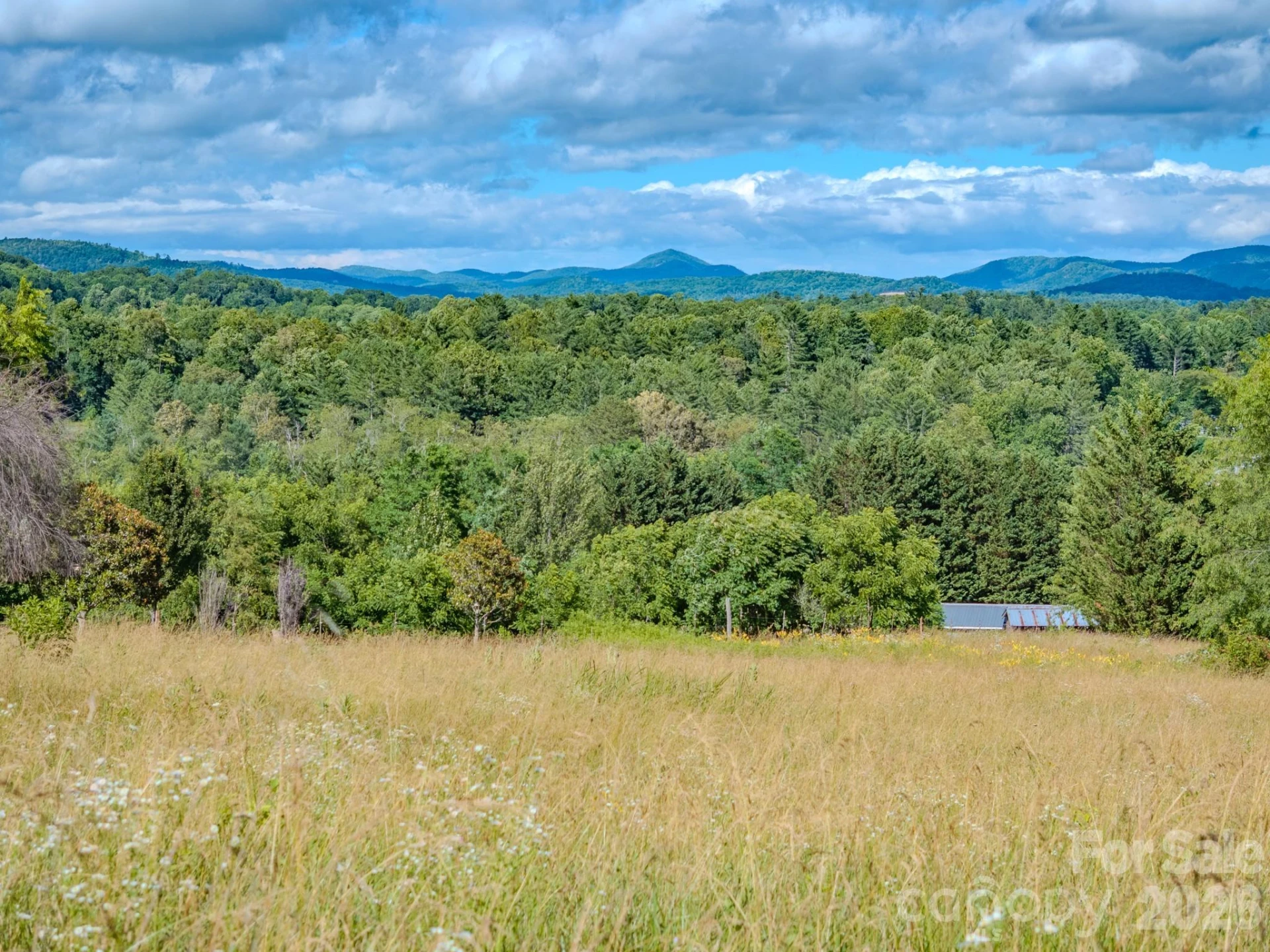000 Rocky Hill Drive #5 & 7 - Photo 5