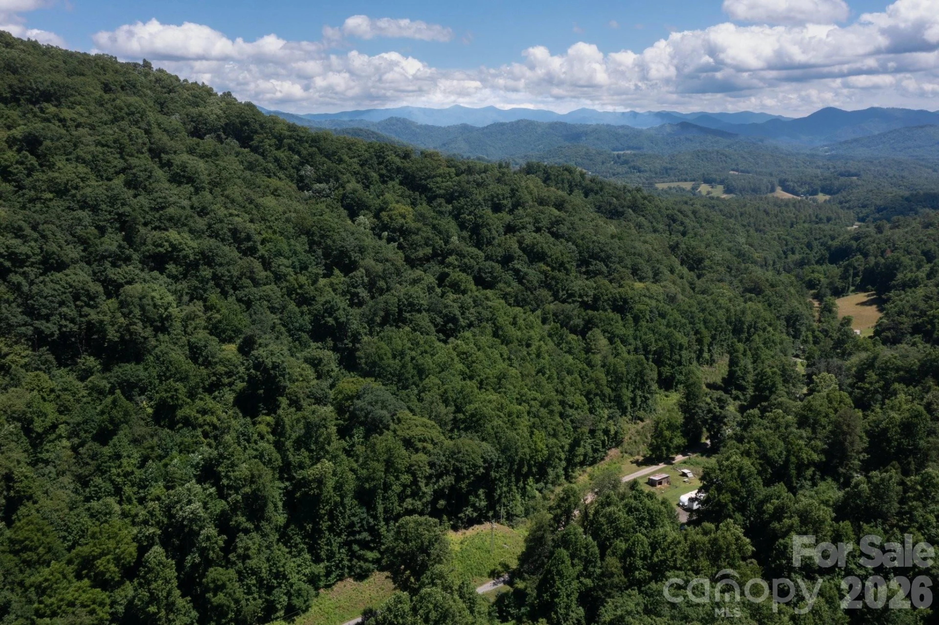 TBD Wooded Mountain Trail #Tract 1 - Photo 2