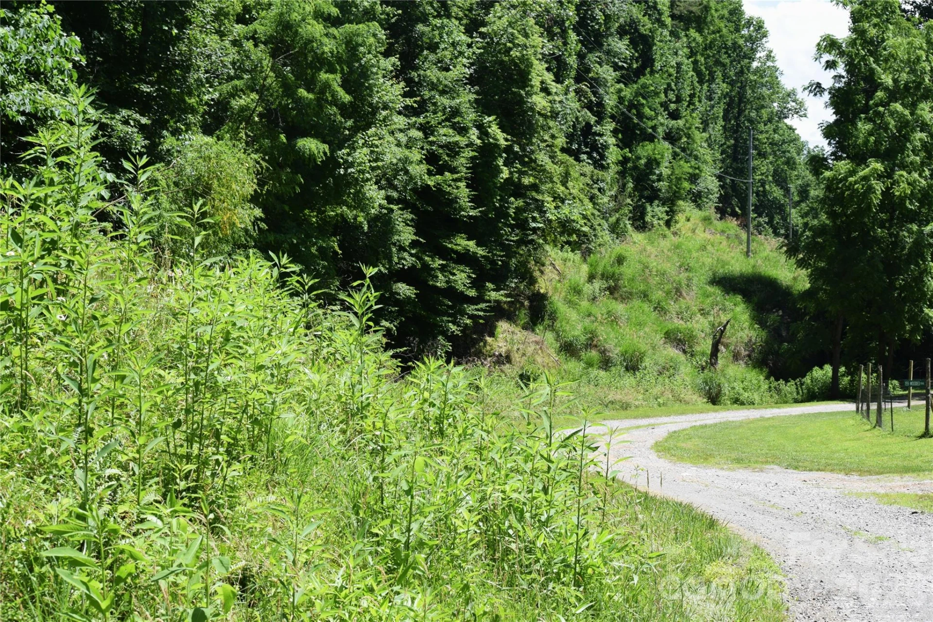 TBD Wooded Mountain Trail #Tract 1 - Photo 6