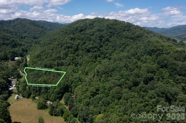 TBD Wooded Mountain Trail, Mars Hill, NC, 28754