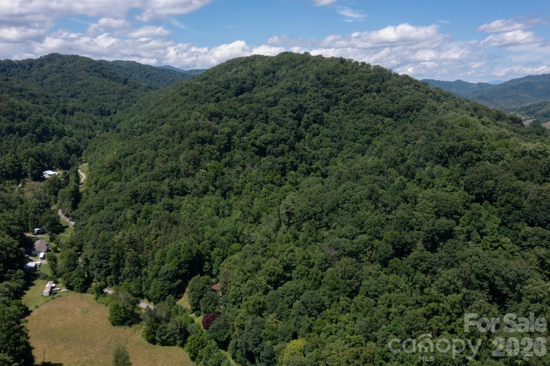 TBD Wooded Mountain Trail #Tract 2 - Photo 3