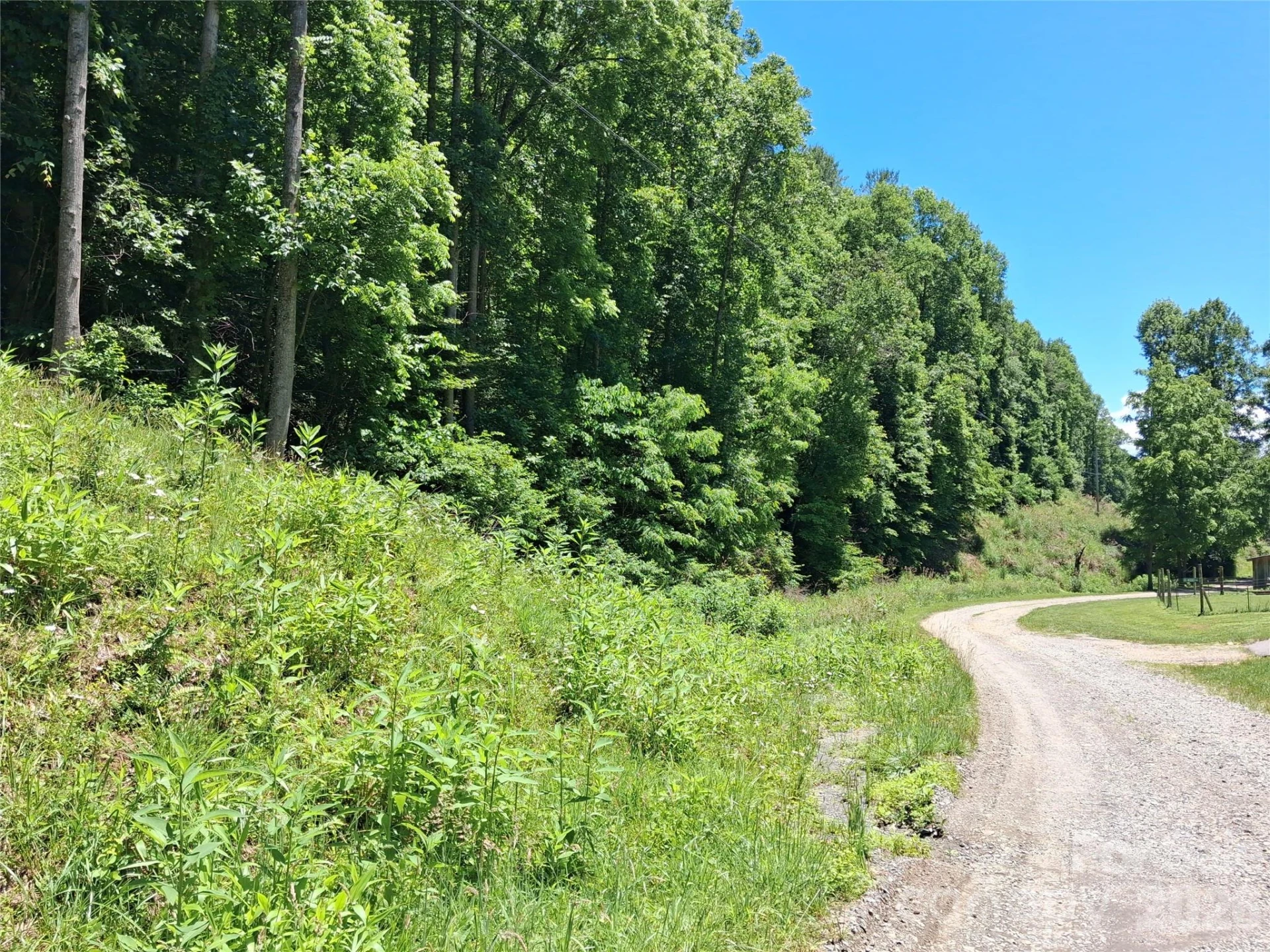 TBD Wooded Mountain Trail #Tract 2 - Photo 4