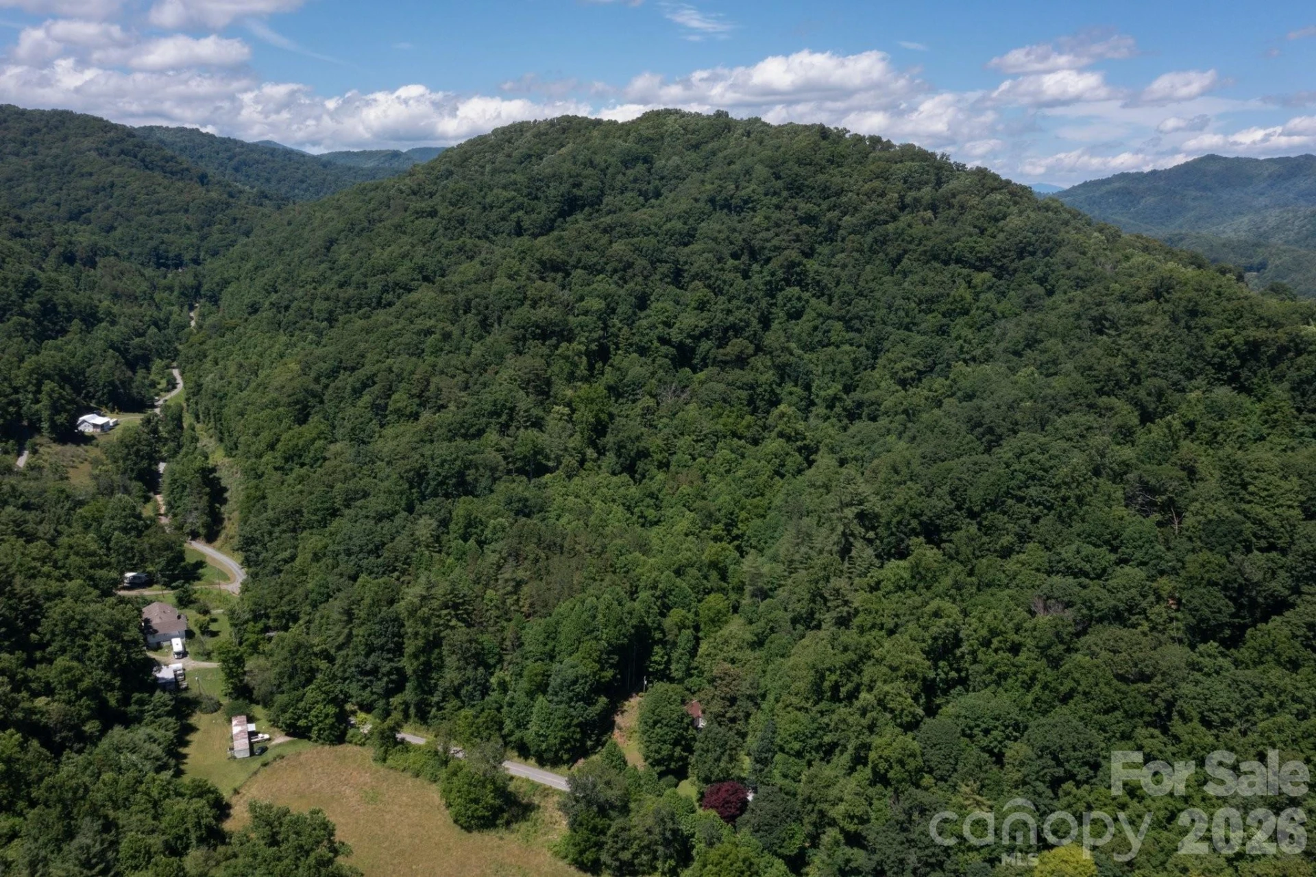 TBD Wooded Mountain Trail #Tract 2 - Photo 5