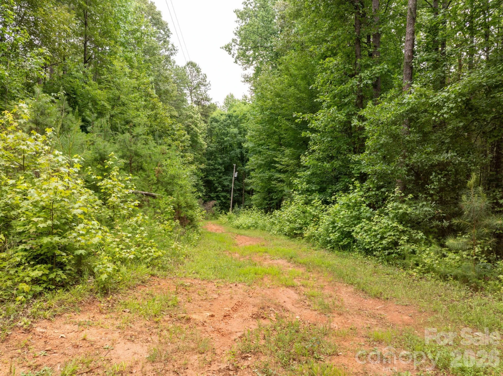 1350 Lee Cudd Road - Photo 11