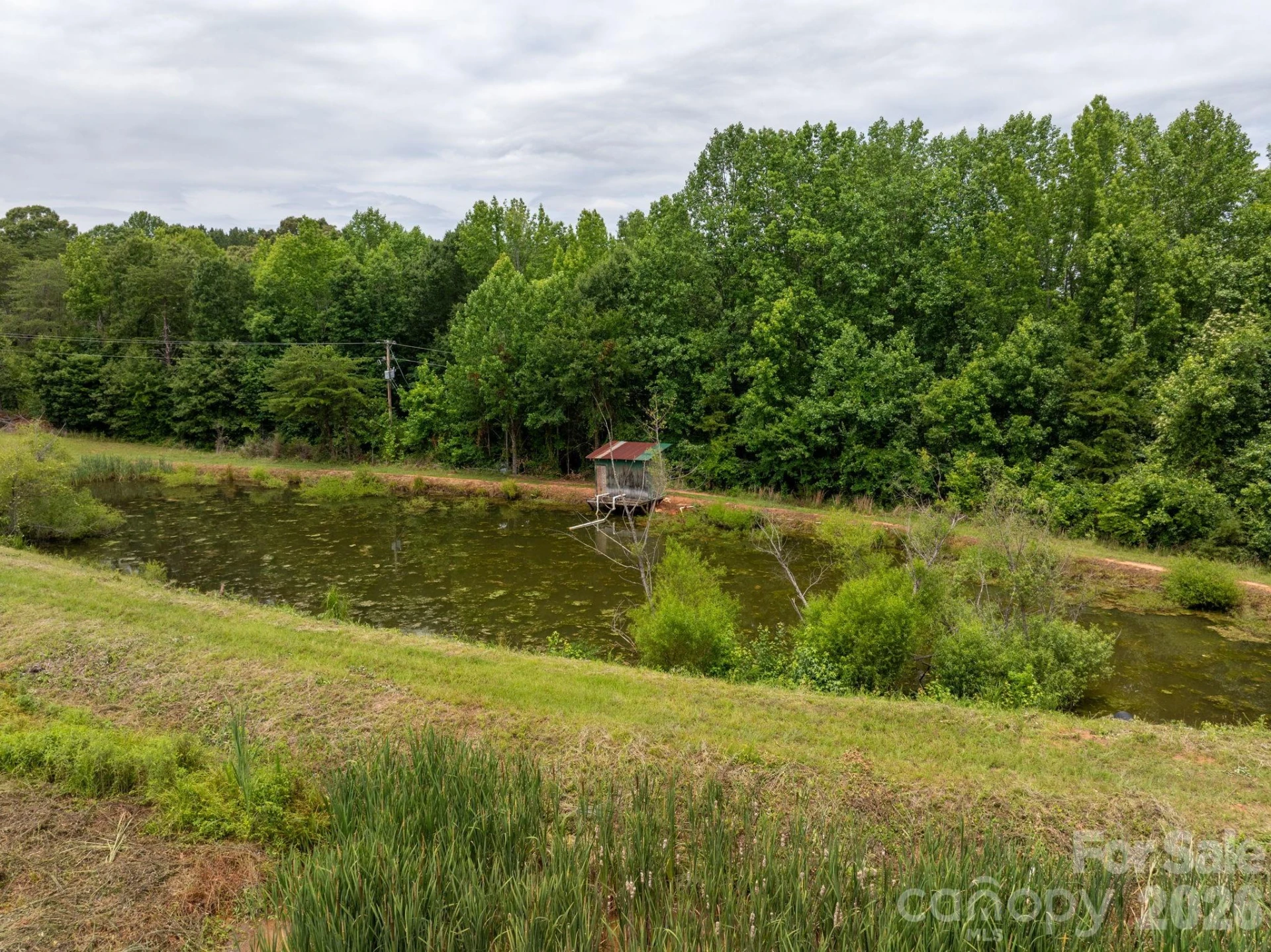 1350 Lee Cudd Road - Photo 12