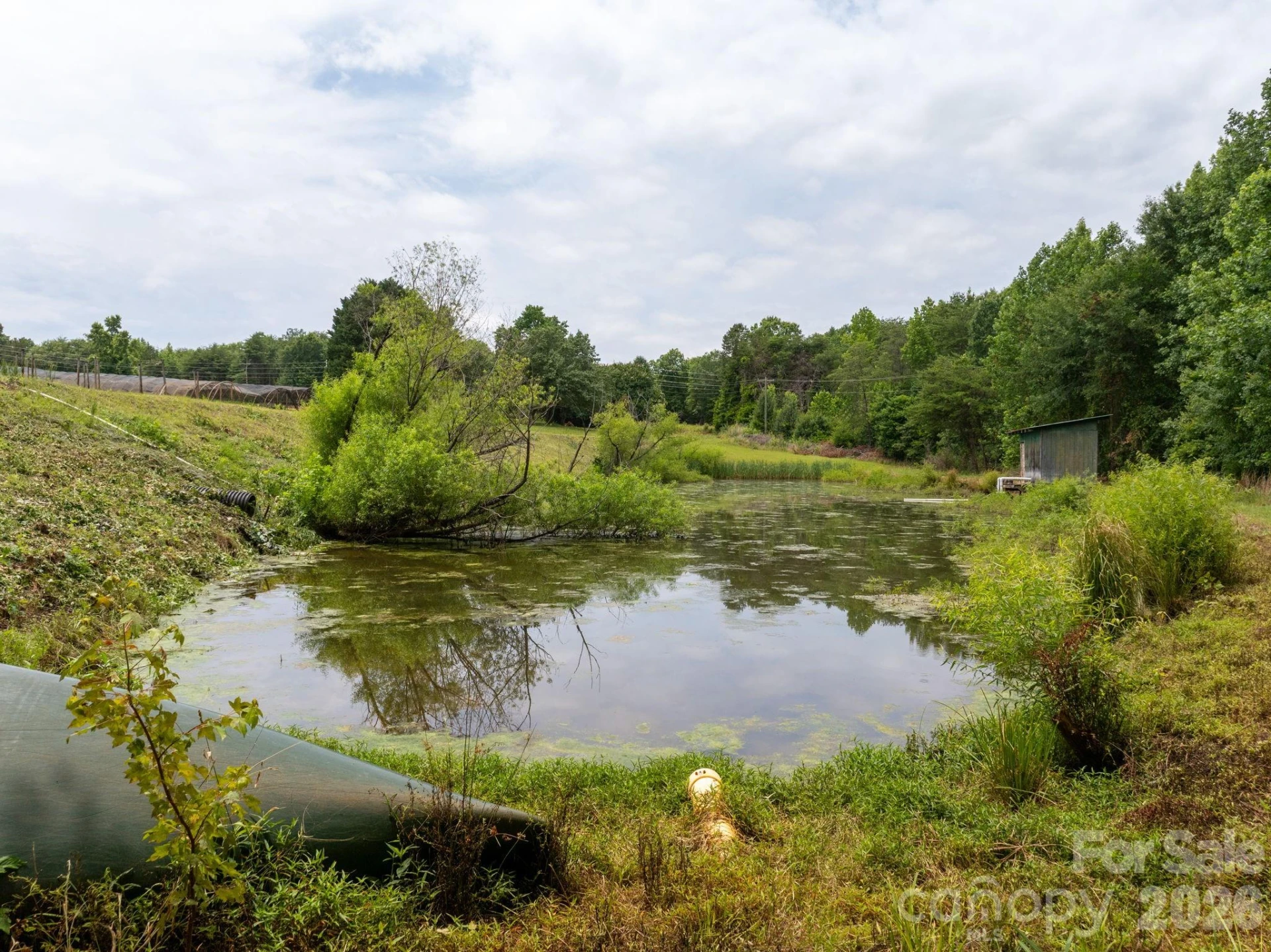 1350 Lee Cudd Road - Photo 13