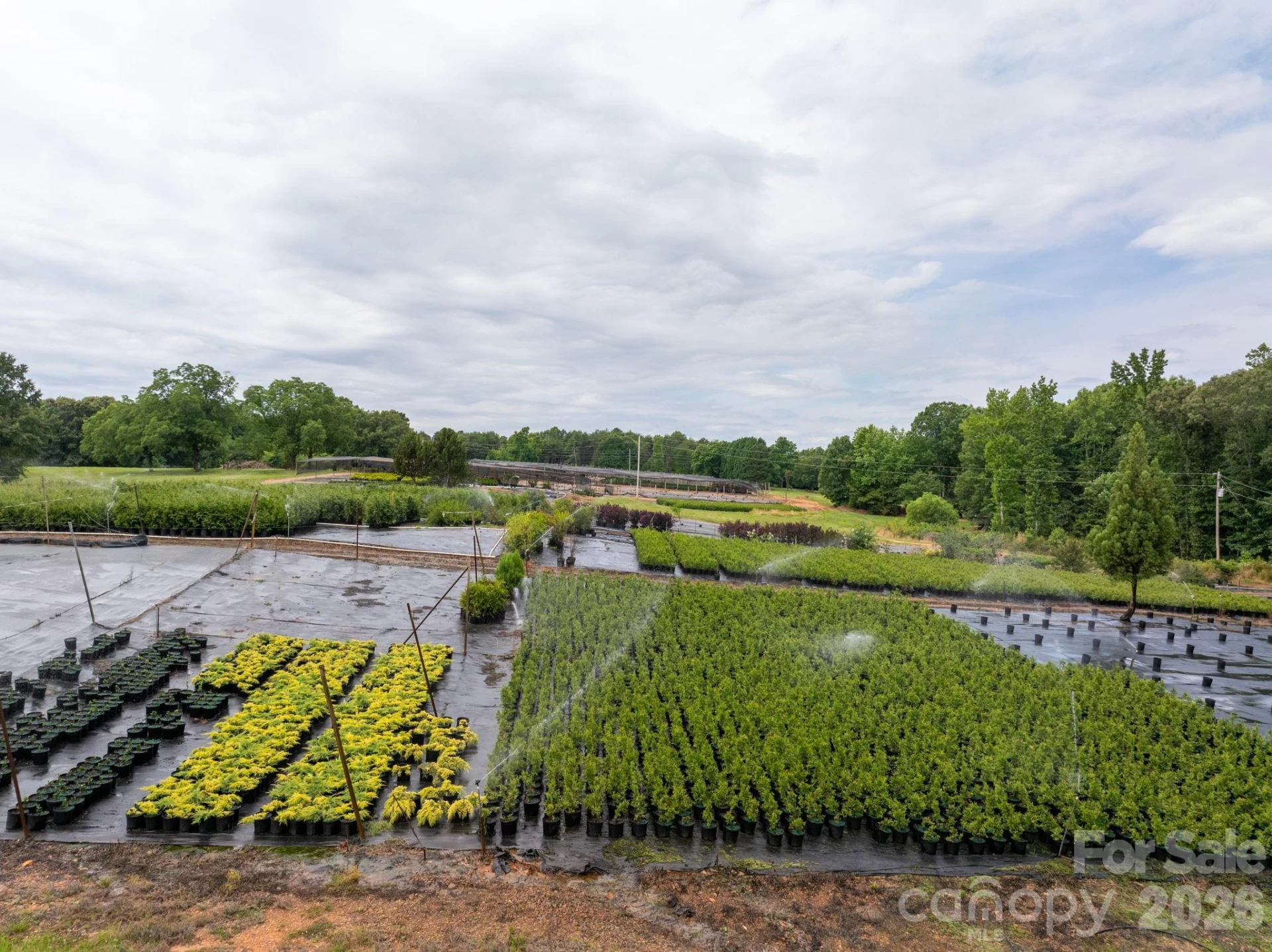 1350 Lee Cudd Road - Photo 3