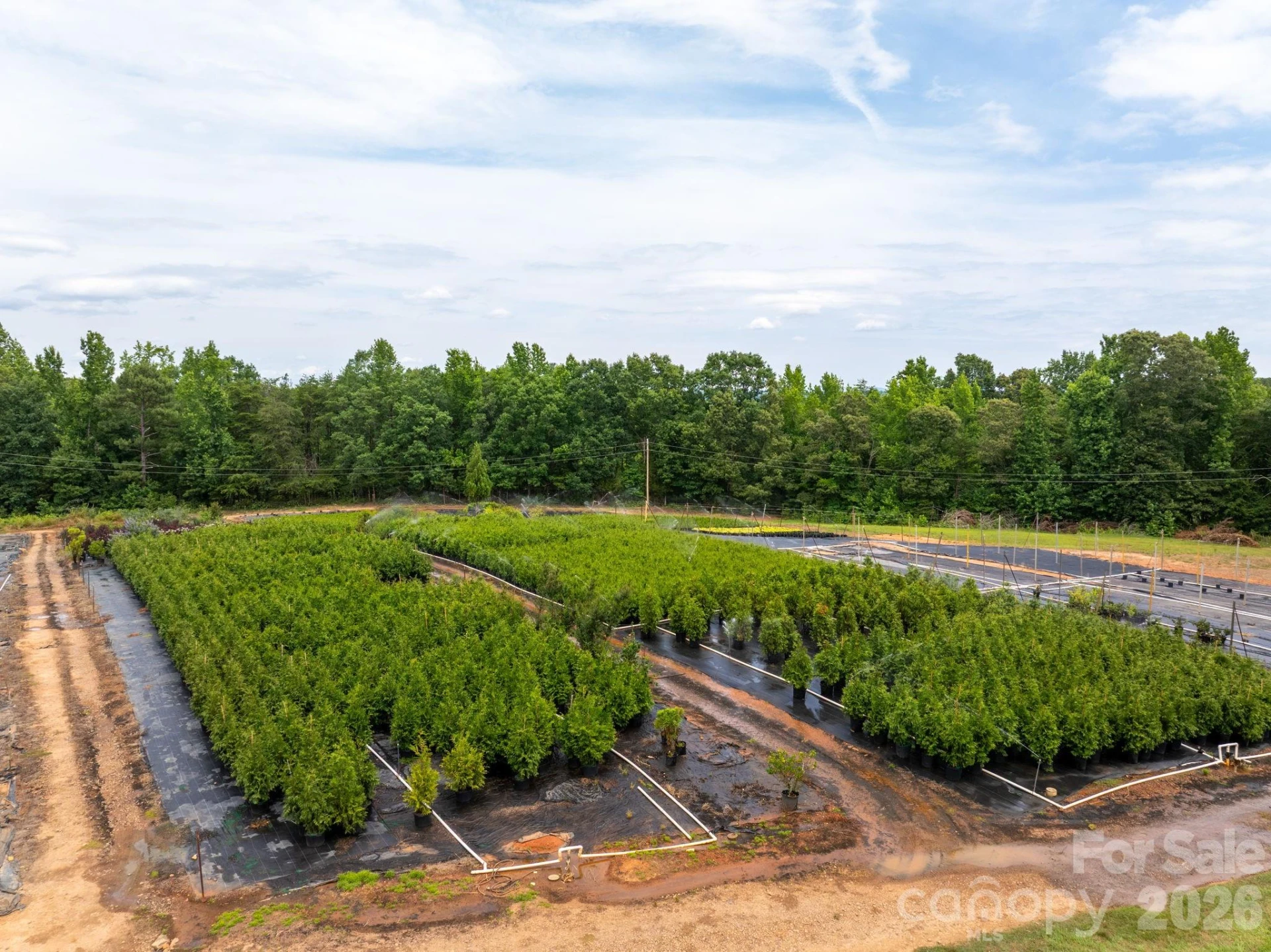 1350 Lee Cudd Road - Photo 4