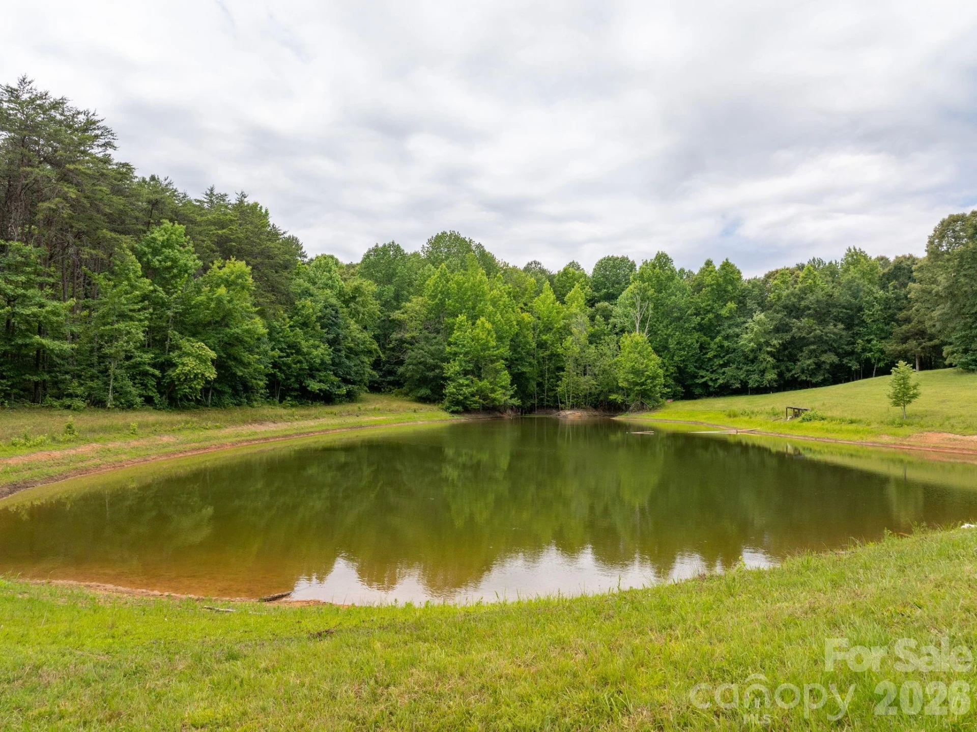 1350 Lee Cudd Road - Photo 8