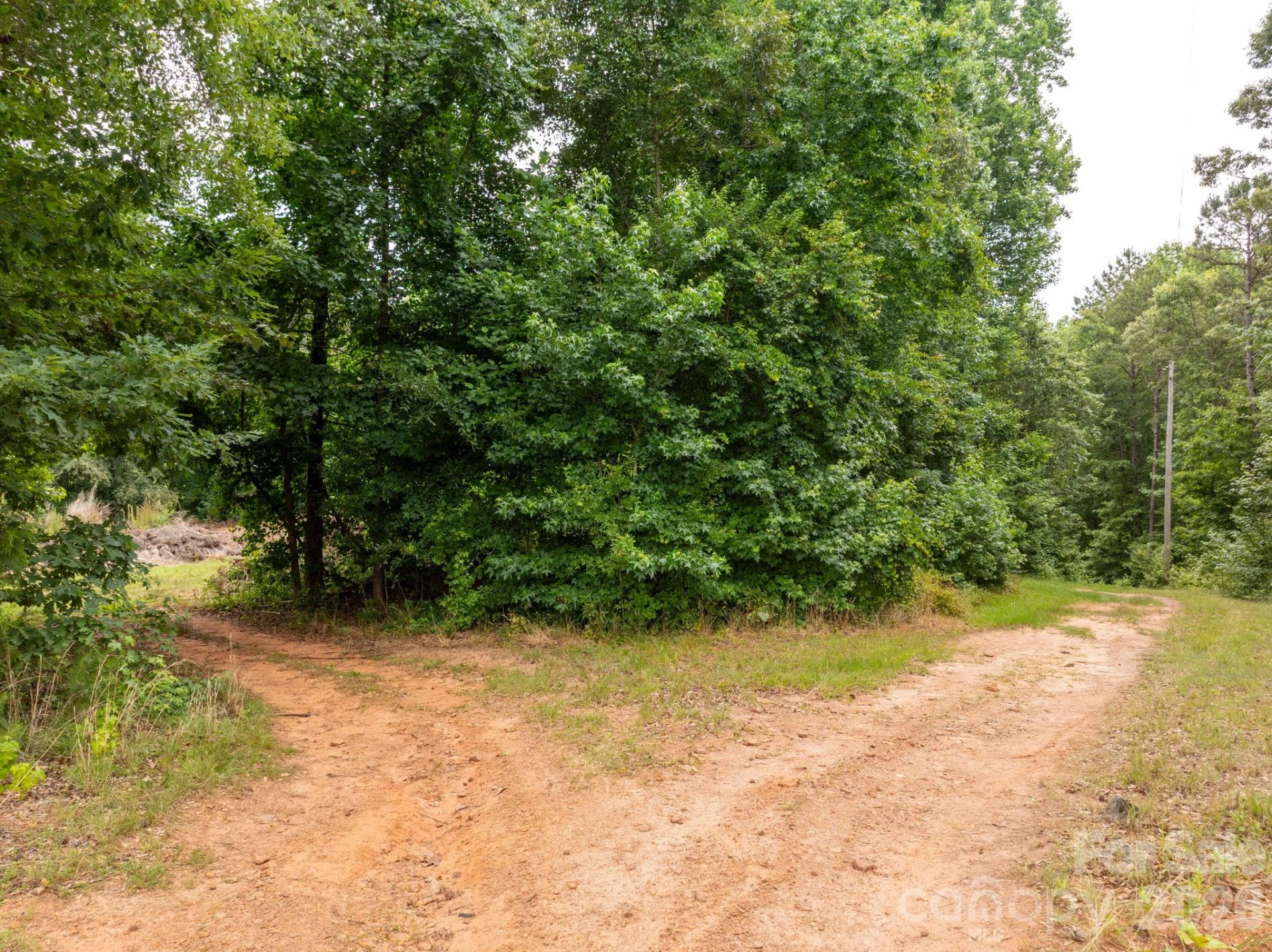 1350 Lee Cudd Road - Photo 10