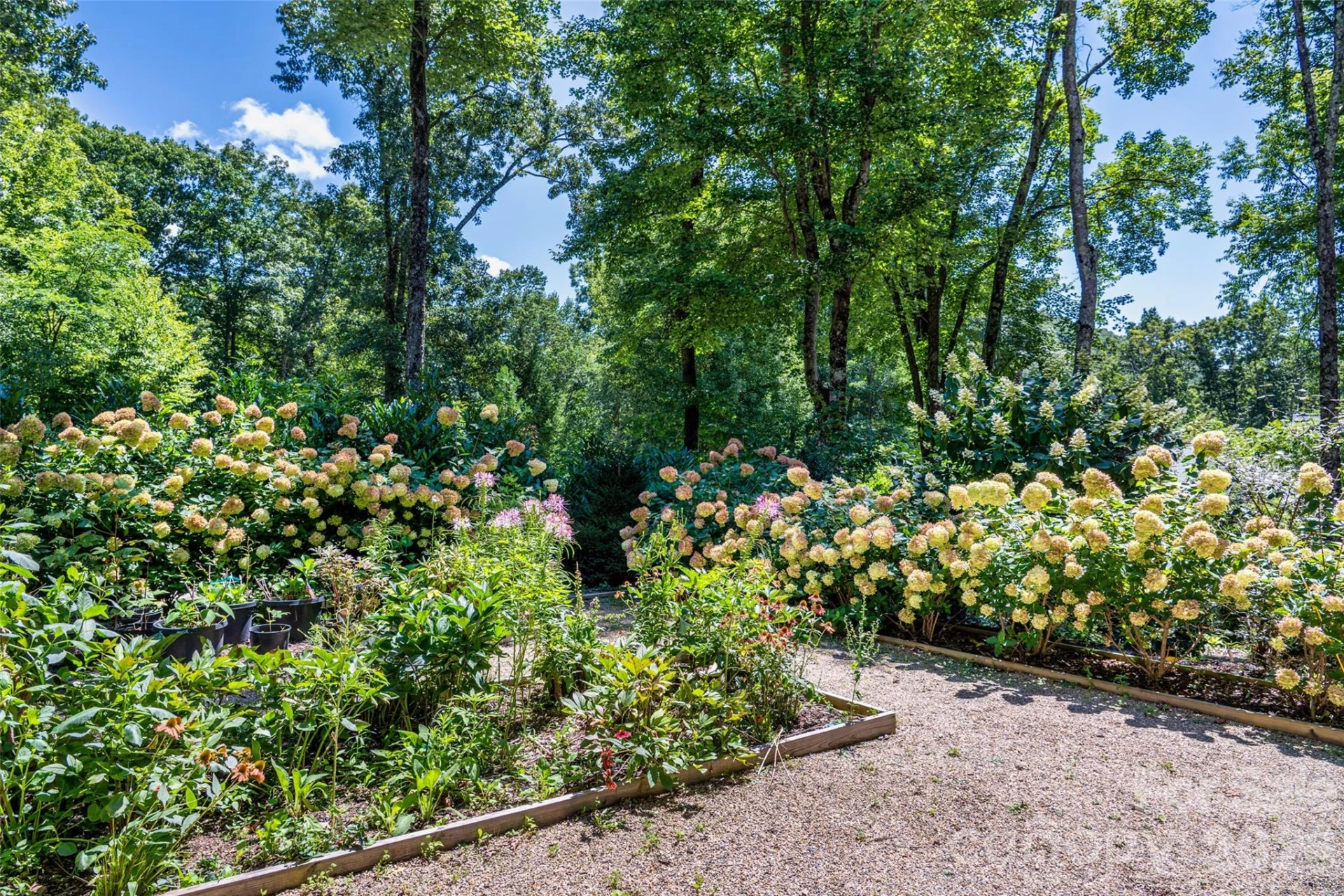 442 Autumn Sky Drive - Photo 44