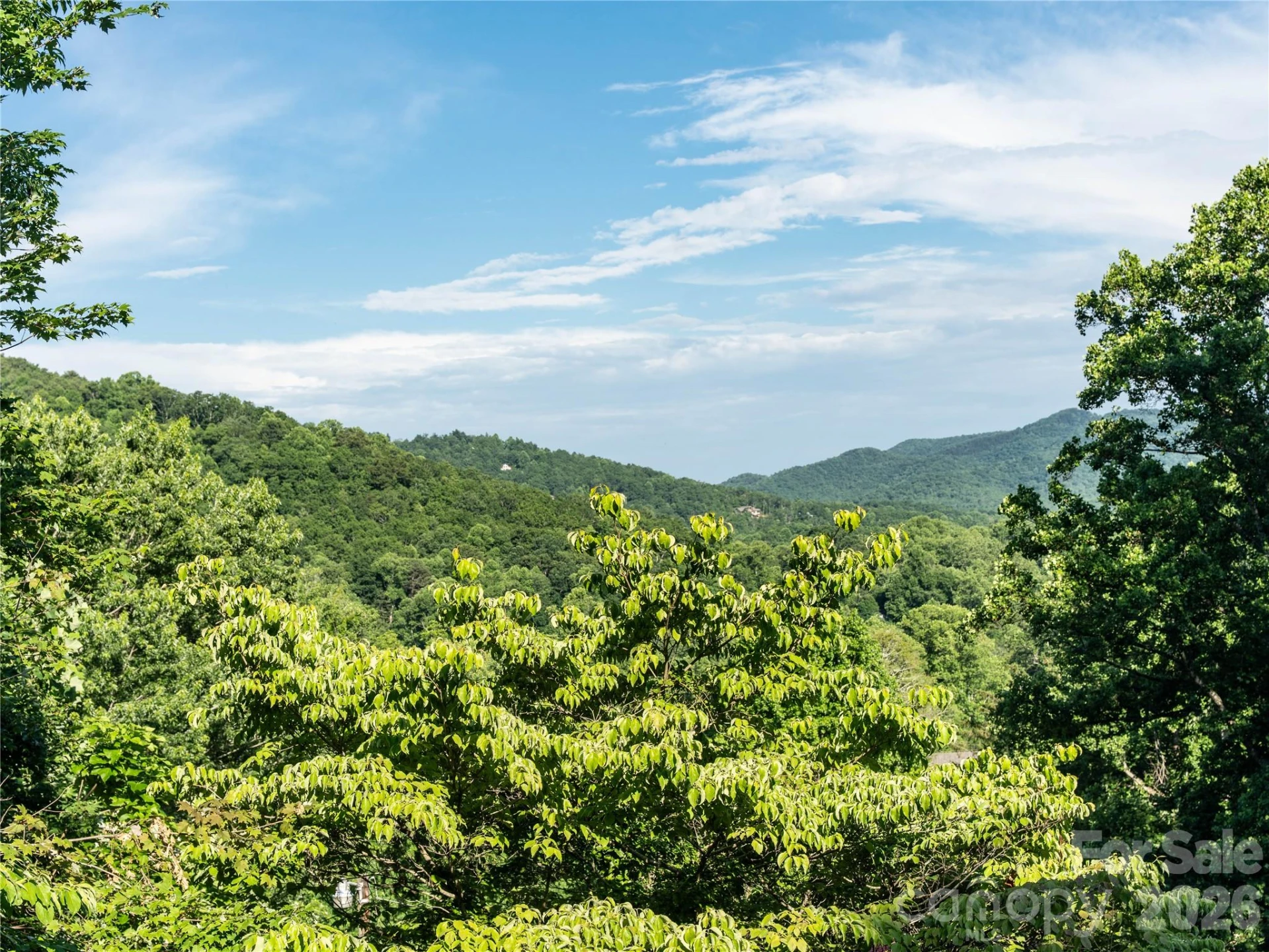 45 Mountain View Avenue - Photo 3