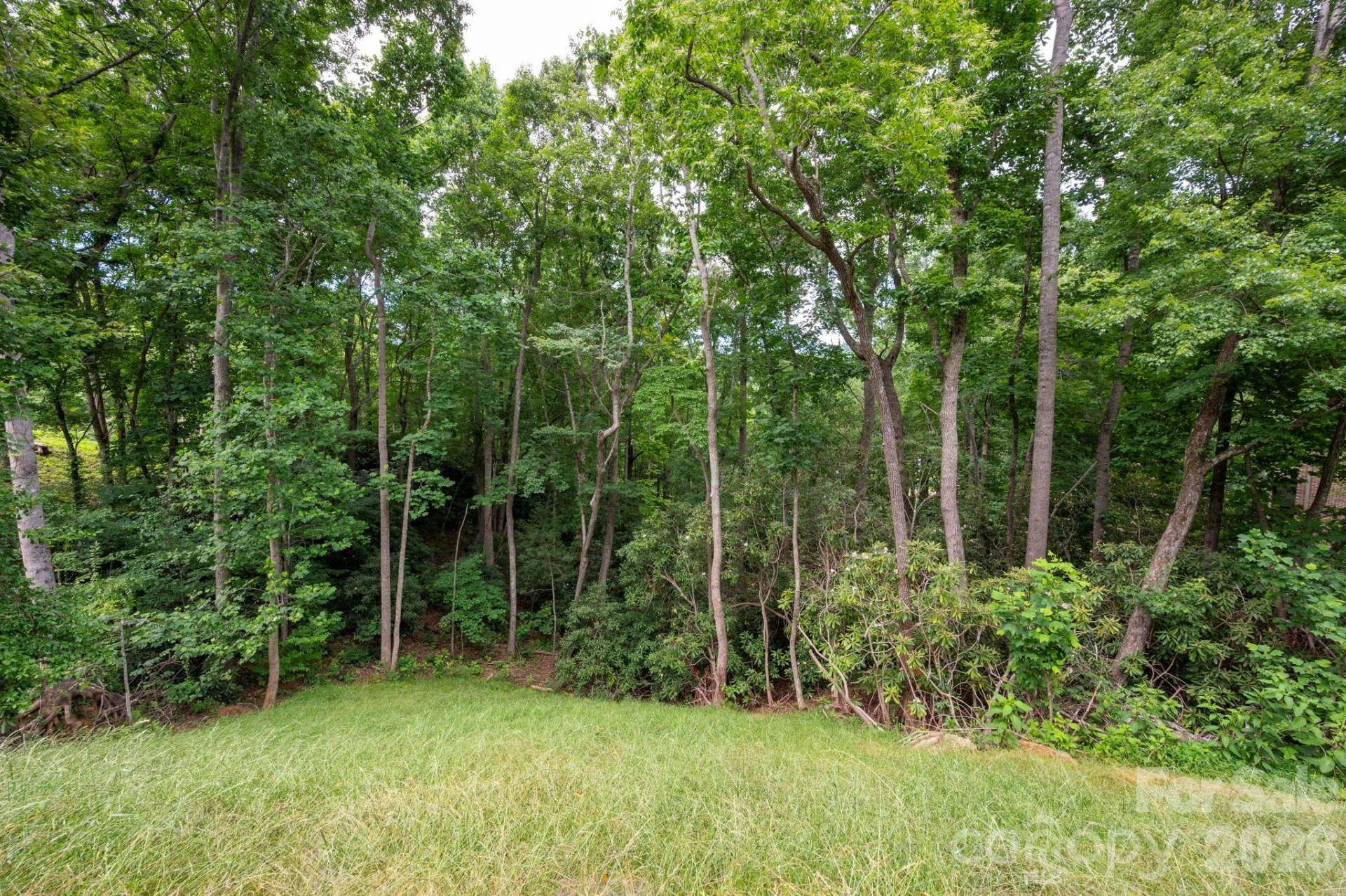 25 Whitaker View Road - Photo 40