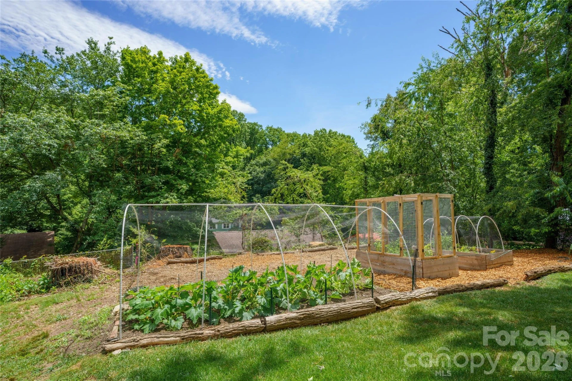 43 Morris Street - Photo 12