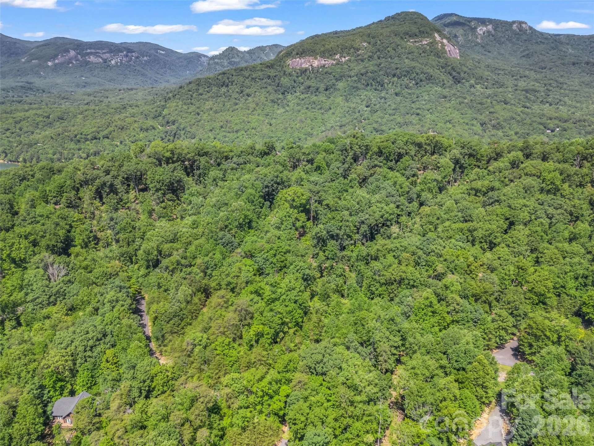 0 Hawks Nest Trail #31 - Photo 11