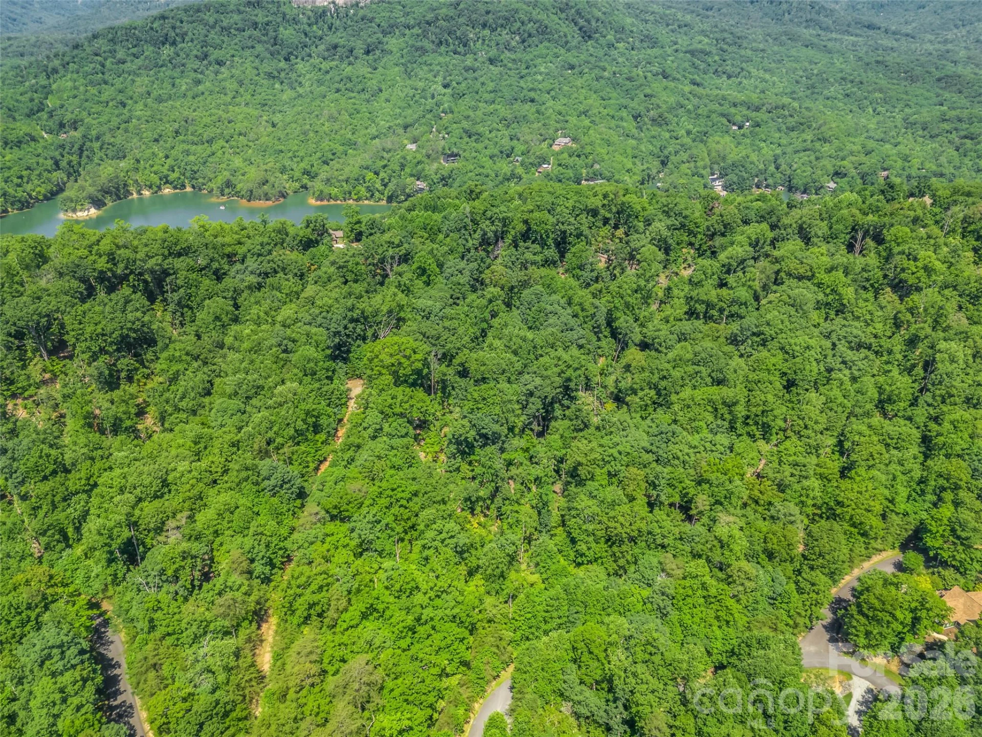 0 Hawks Nest Trail #31 - Photo 12