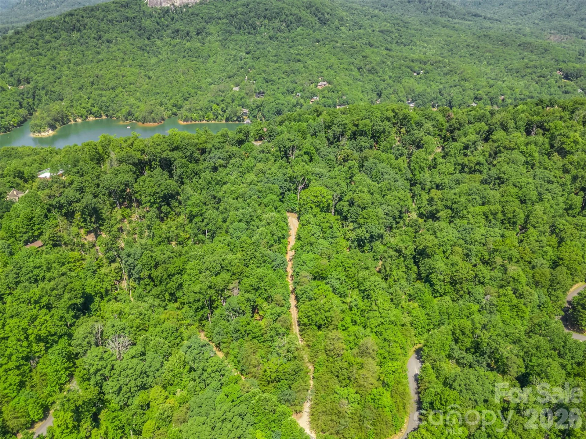 0 Hawks Nest Trail #31 - Photo 14
