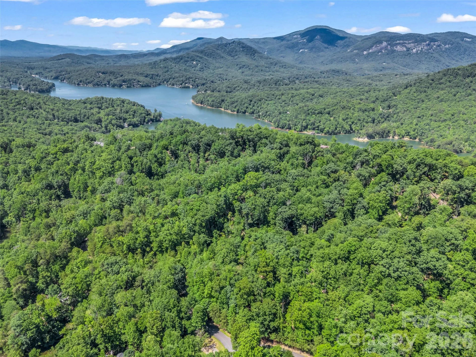 0 Hawks Nest Trail #31 - Photo 15