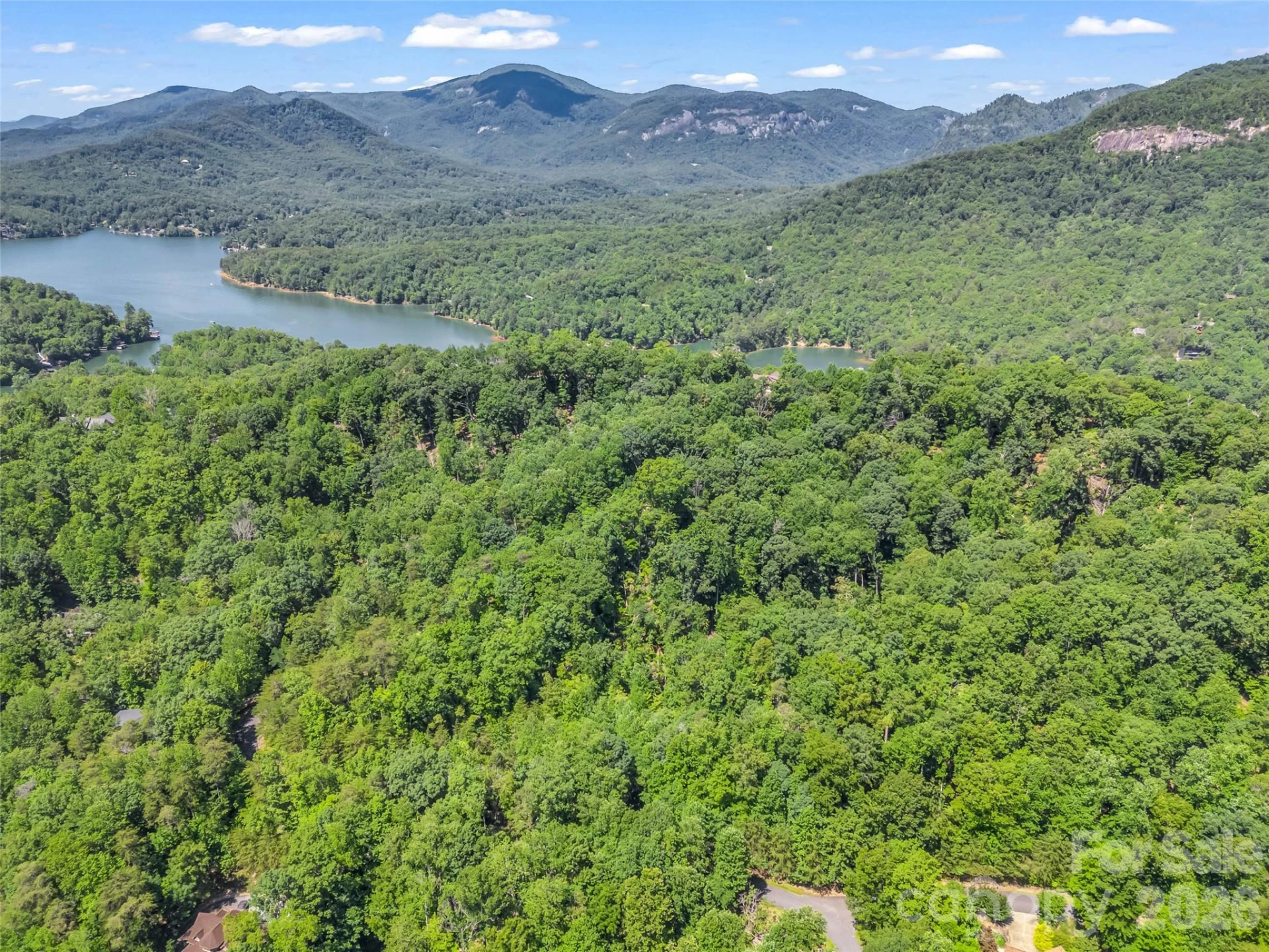 0 Hawks Nest Trail #31 - Photo 16
