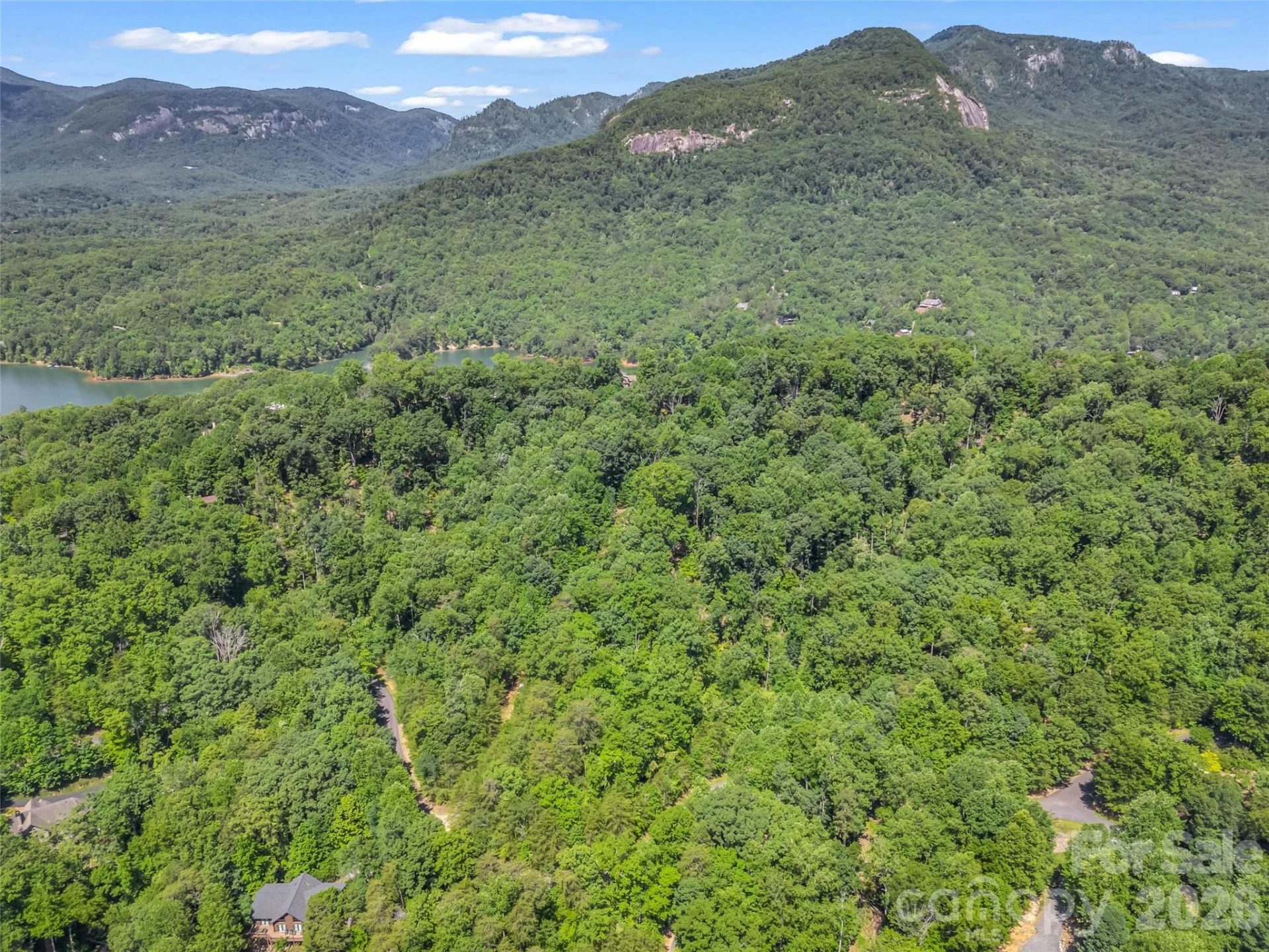 0 Hawks Nest Trail #31 - Photo 17