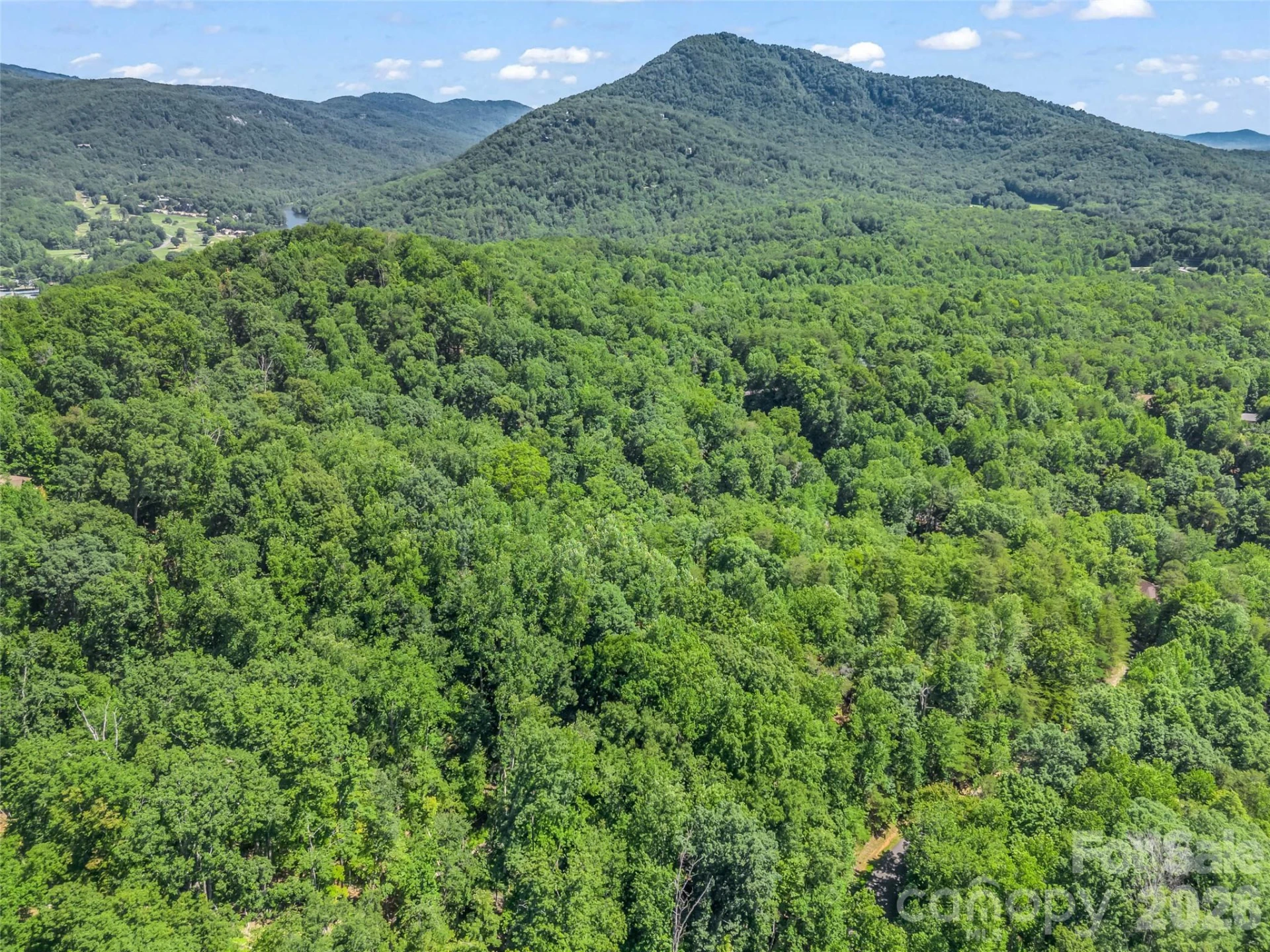 0 Hawks Nest Trail #31 - Photo 21