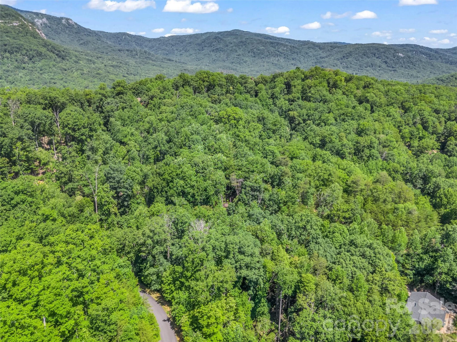 0 Hawks Nest Trail #31 - Photo 23