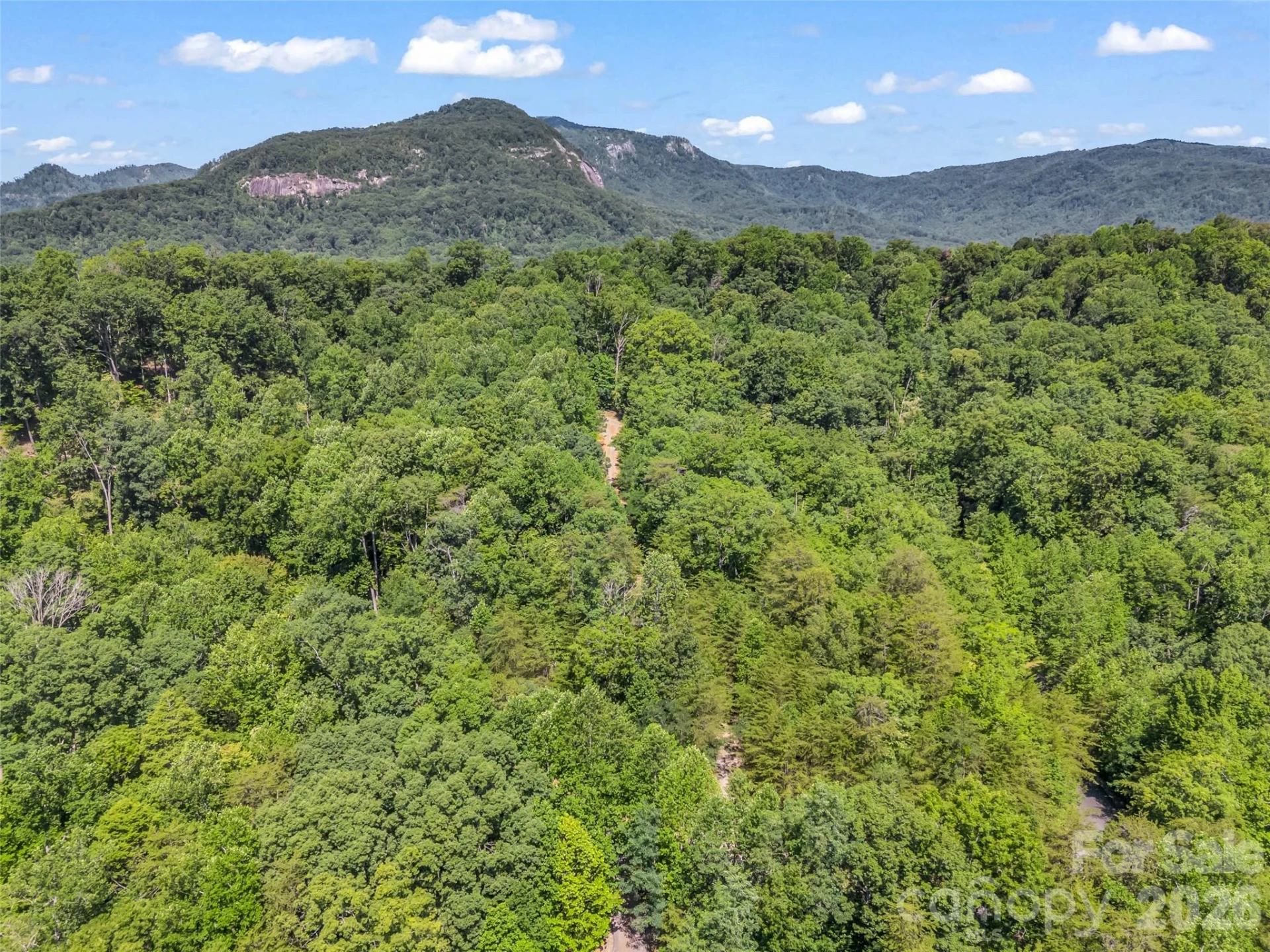0 Hawks Nest Trail #31 - Photo 24